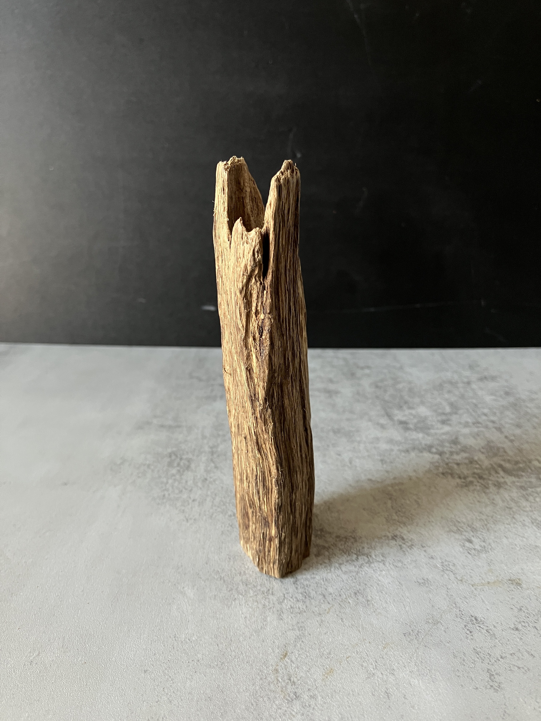 image_CCB50E3C-C902-452F-8333-D44F3776396C_1773642380