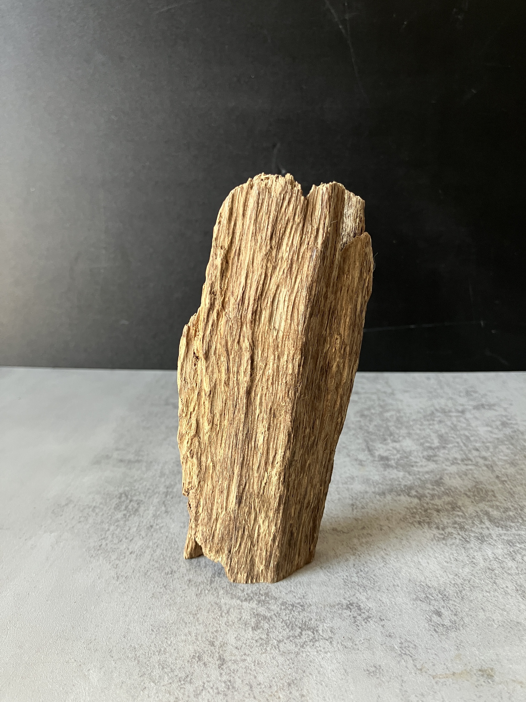 image_F025DA0B-DF45-44A2-845E-B44FA011DBA1_1773642380