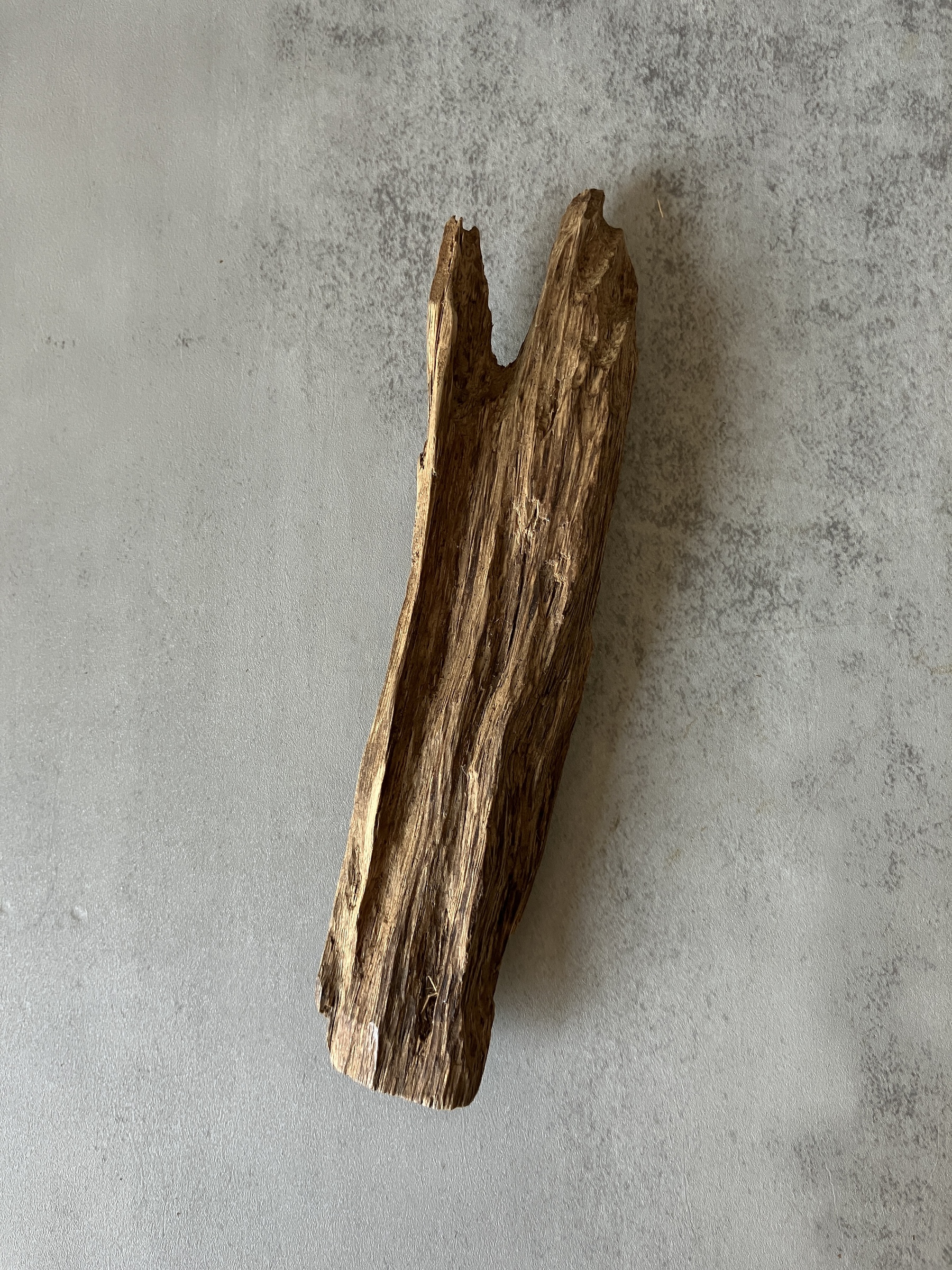 image_9E3ADF9C-98A6-41F0-B1EE-D1CA1BAF07A9_1773643080