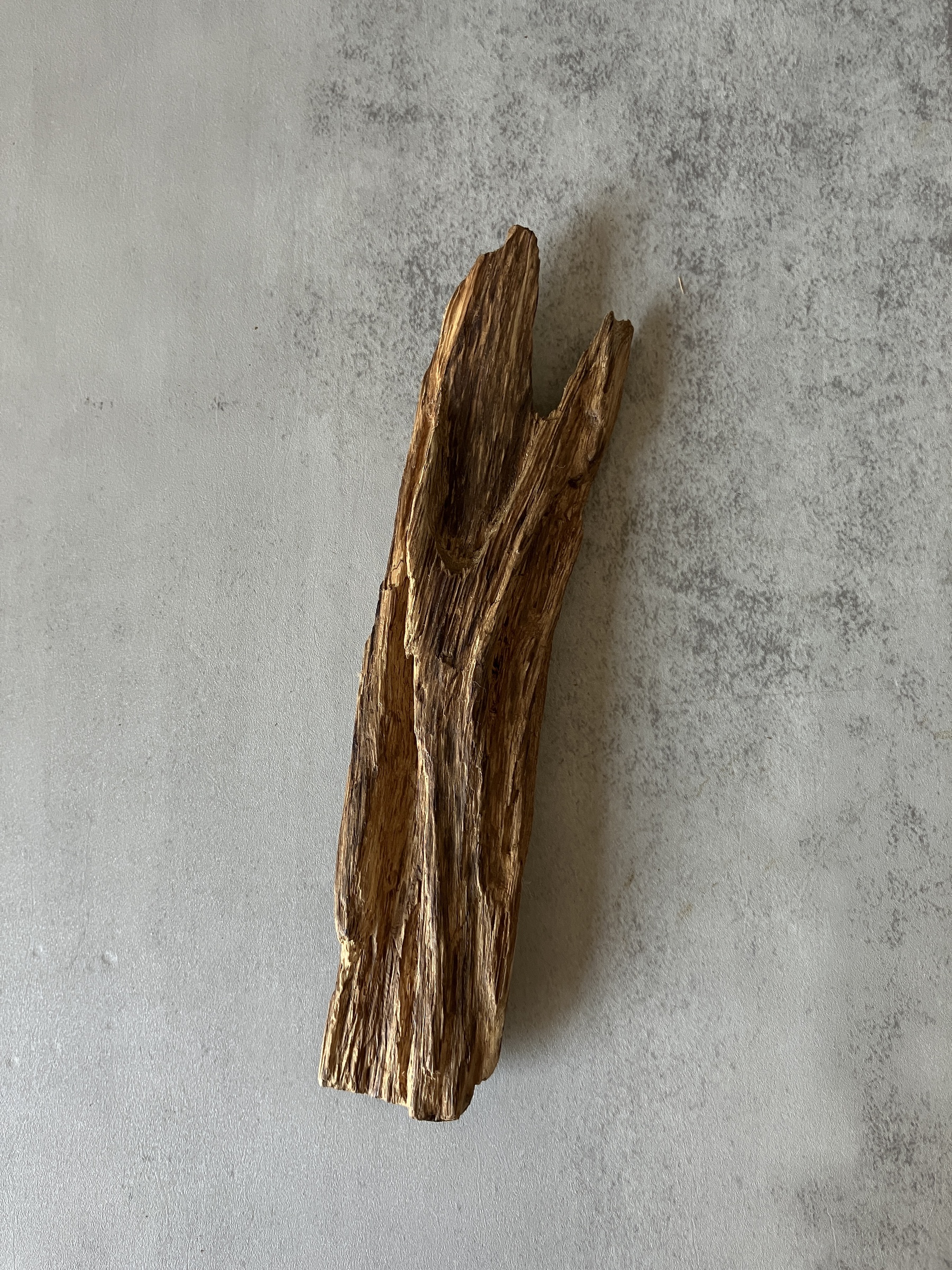 image_694919D9-EA5F-4D66-AFF4-9F45EFDC23CB_1773643080