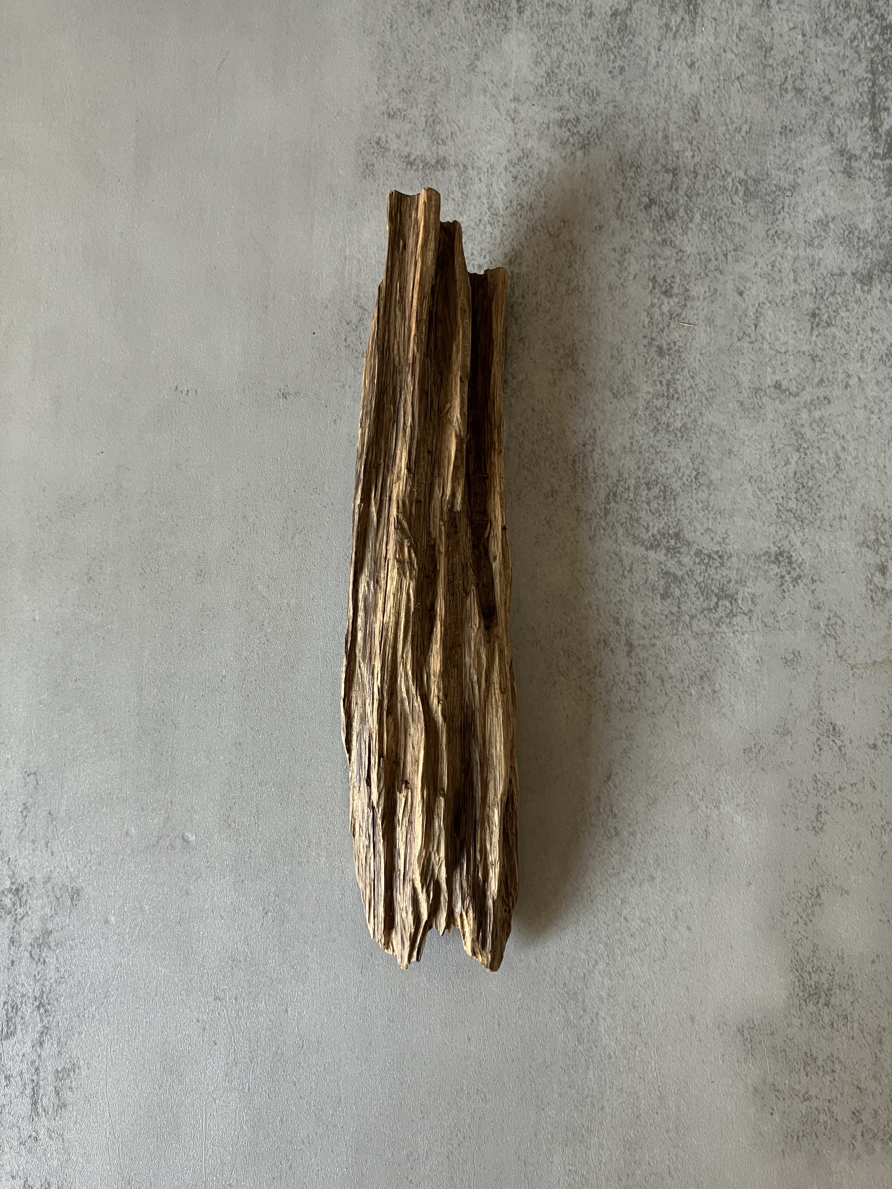 image_13833317-BA26-4B9B-985F-DCFFD8CD79C7_1773643246