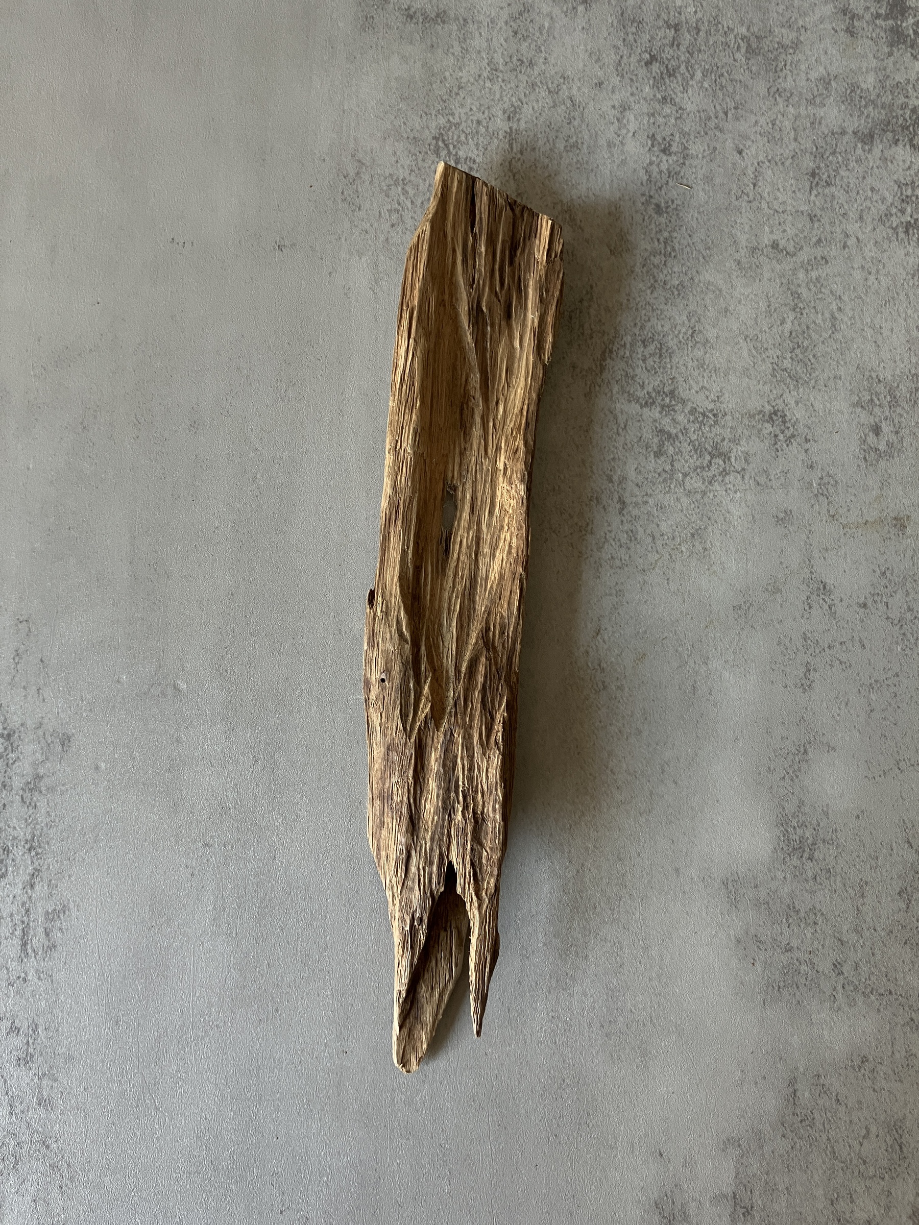 image_D924B824-6A73-4C23-8E27-F594B6CBD7E0_1773643246