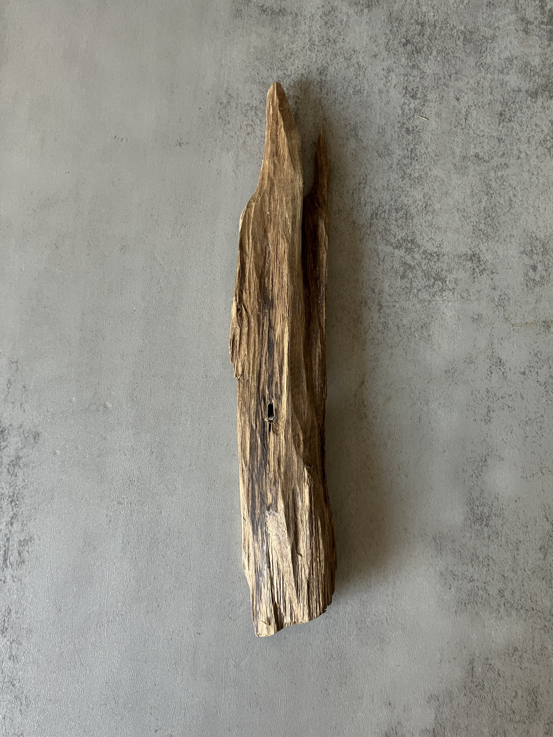 image_F7A978C7-479F-4896-A845-2DA80596A914_1773643246