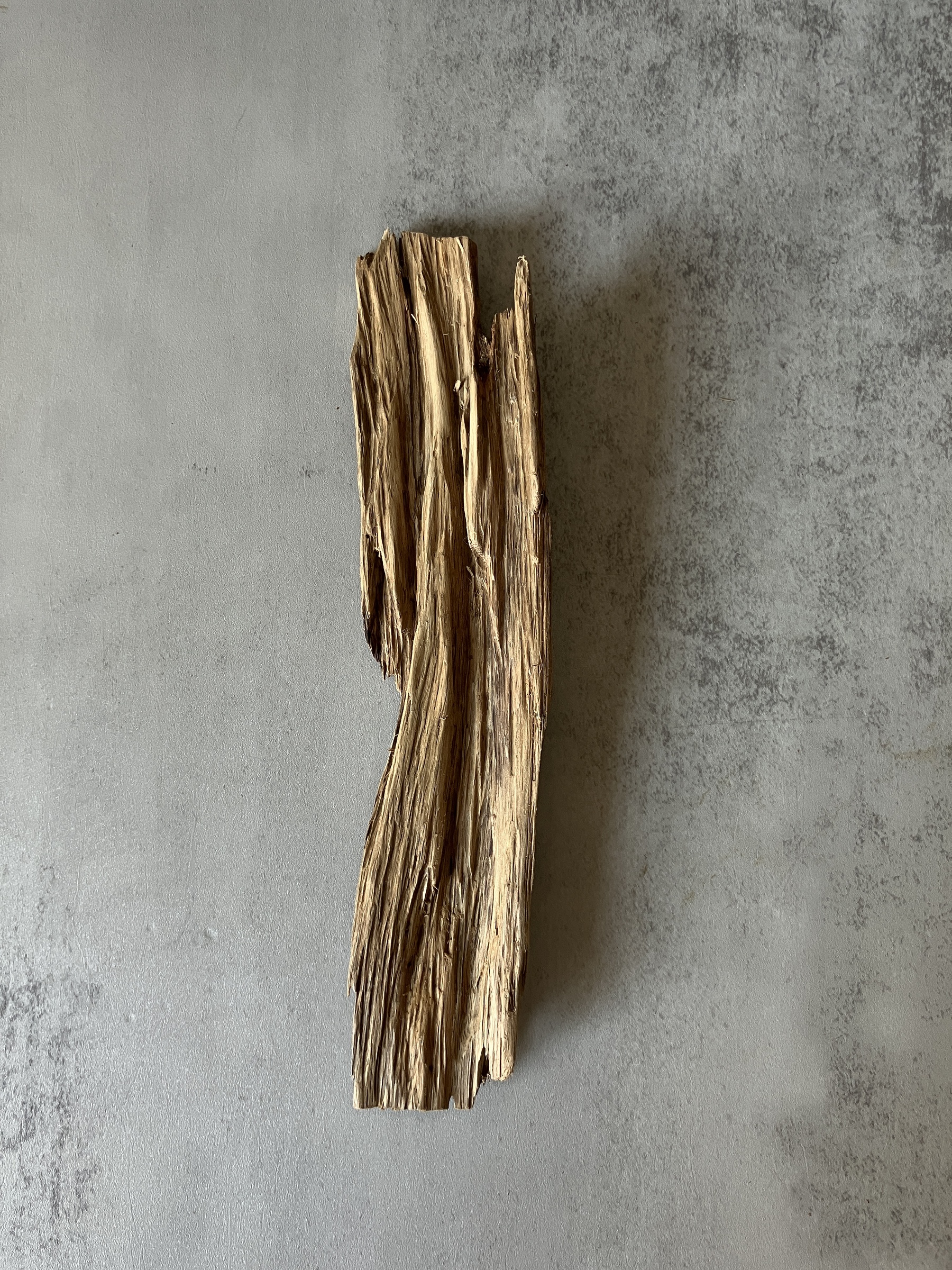 image_6C1EE446-62D4-4C8C-81B1-6503045E6408_1773643489