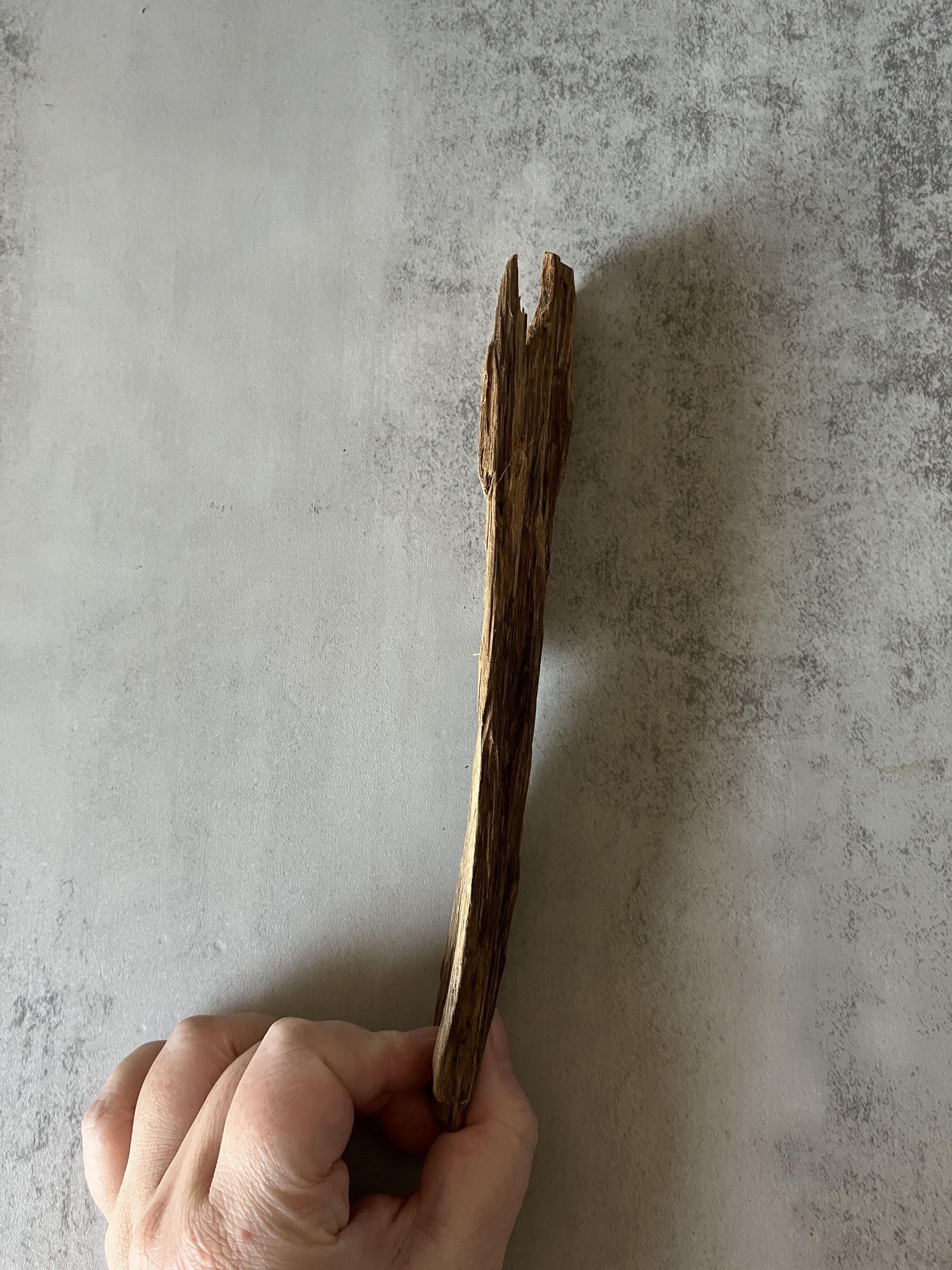 image_7B9BD3D7-5D84-418E-84A2-26E3D55247EF_1773643489