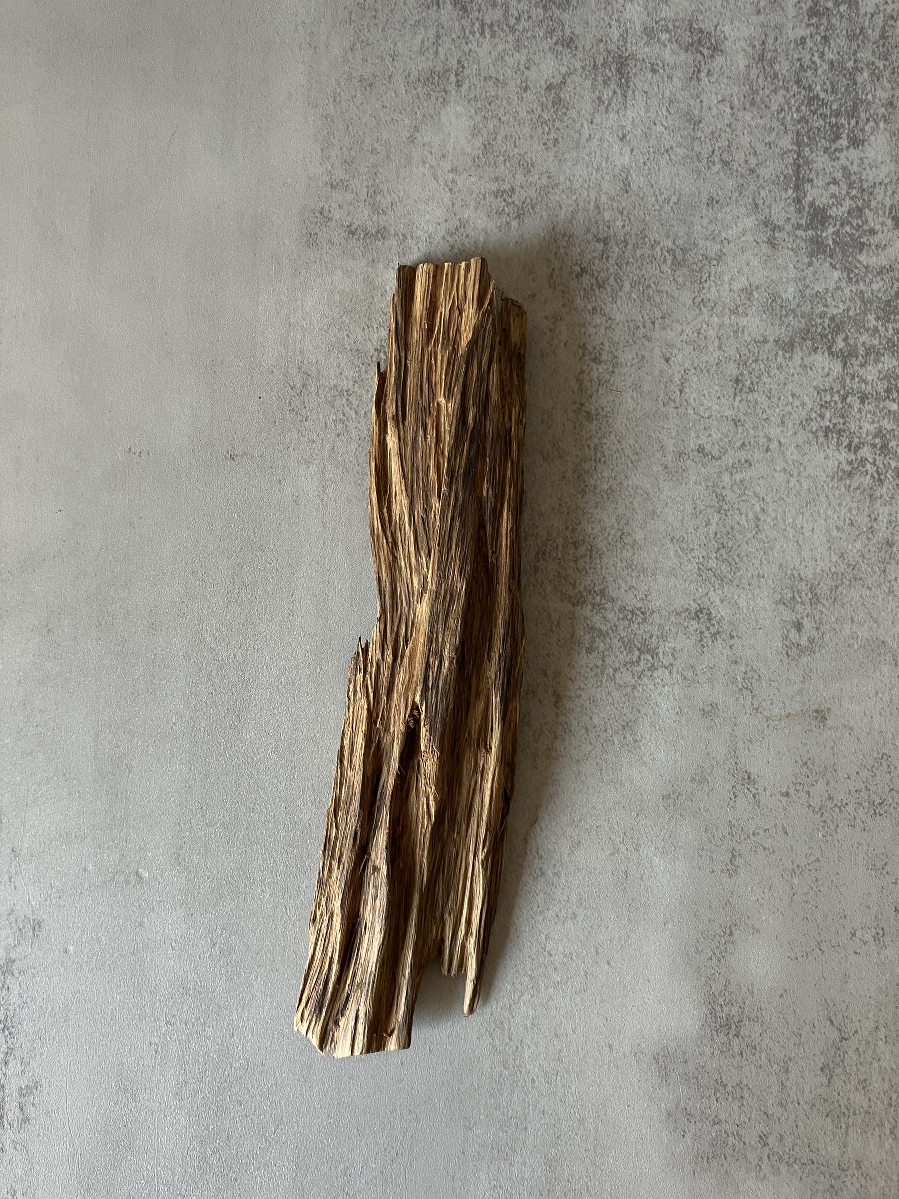 image_AB95D07C-C051-41B4-BCA7-35E17BDF56F8_1773643489