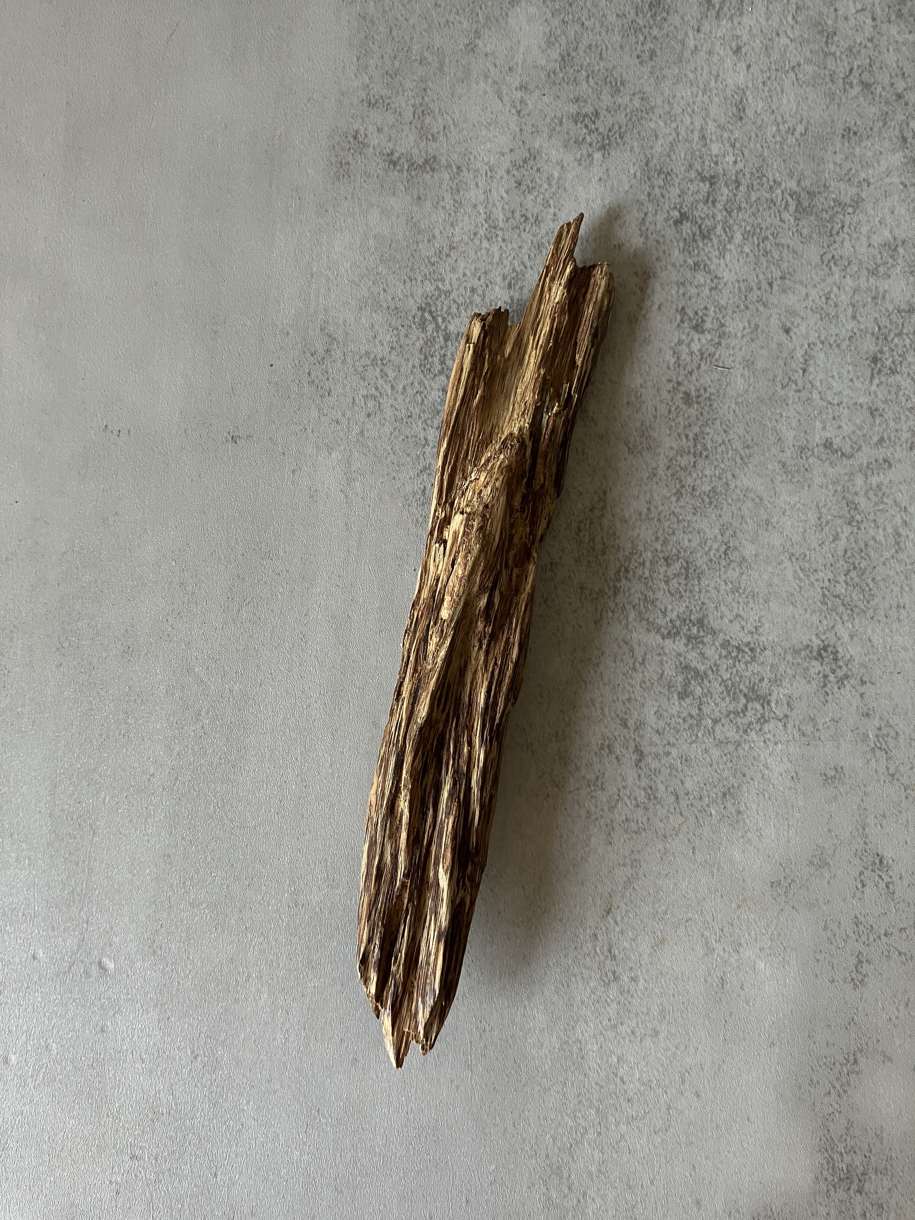 image_5B1FD081-3726-4F7C-839A-3682CDAE8B3E_1773643691