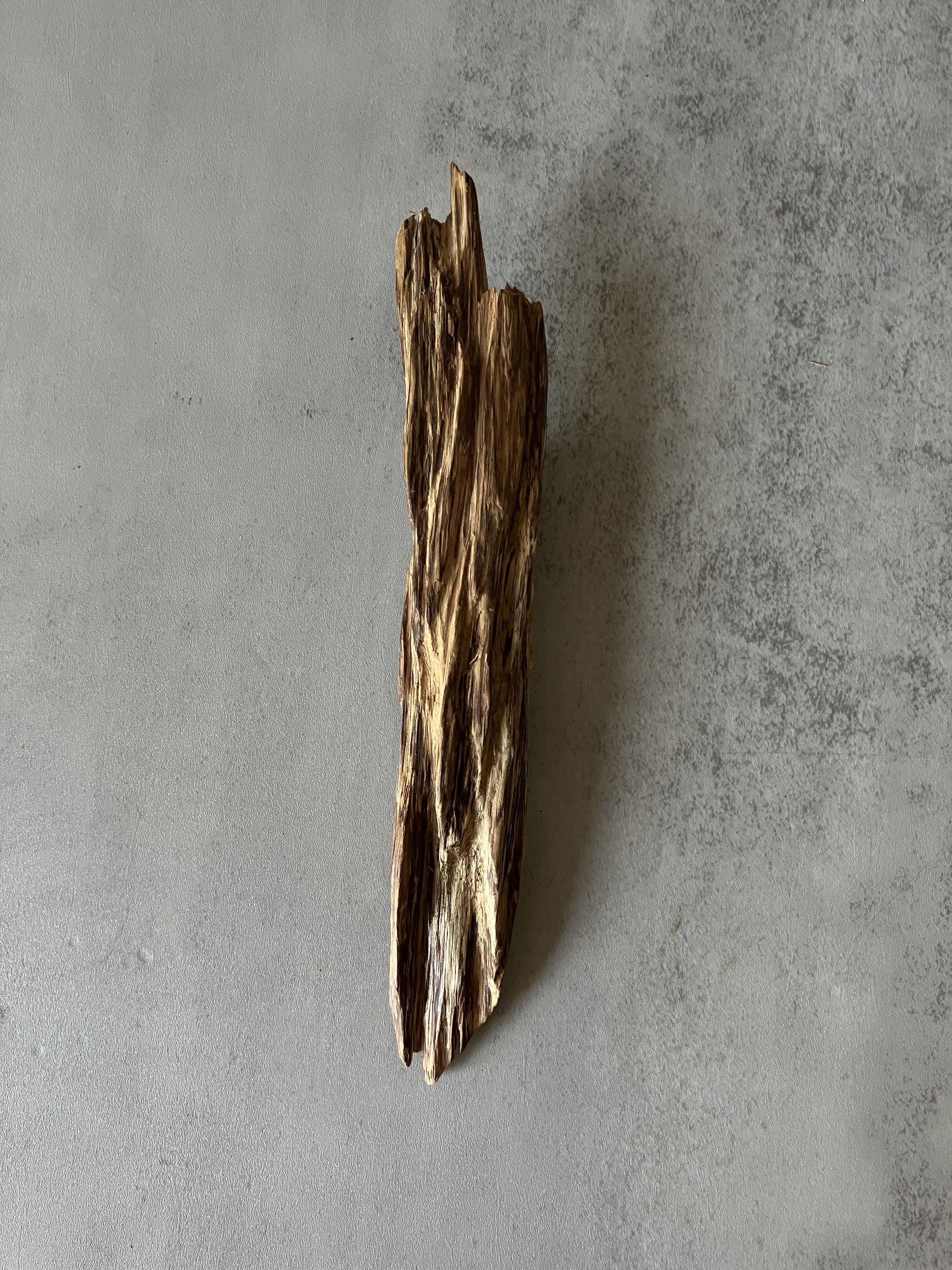 image_D8687CD9-72D8-48D3-ACE9-79127E49C57B_1773643691