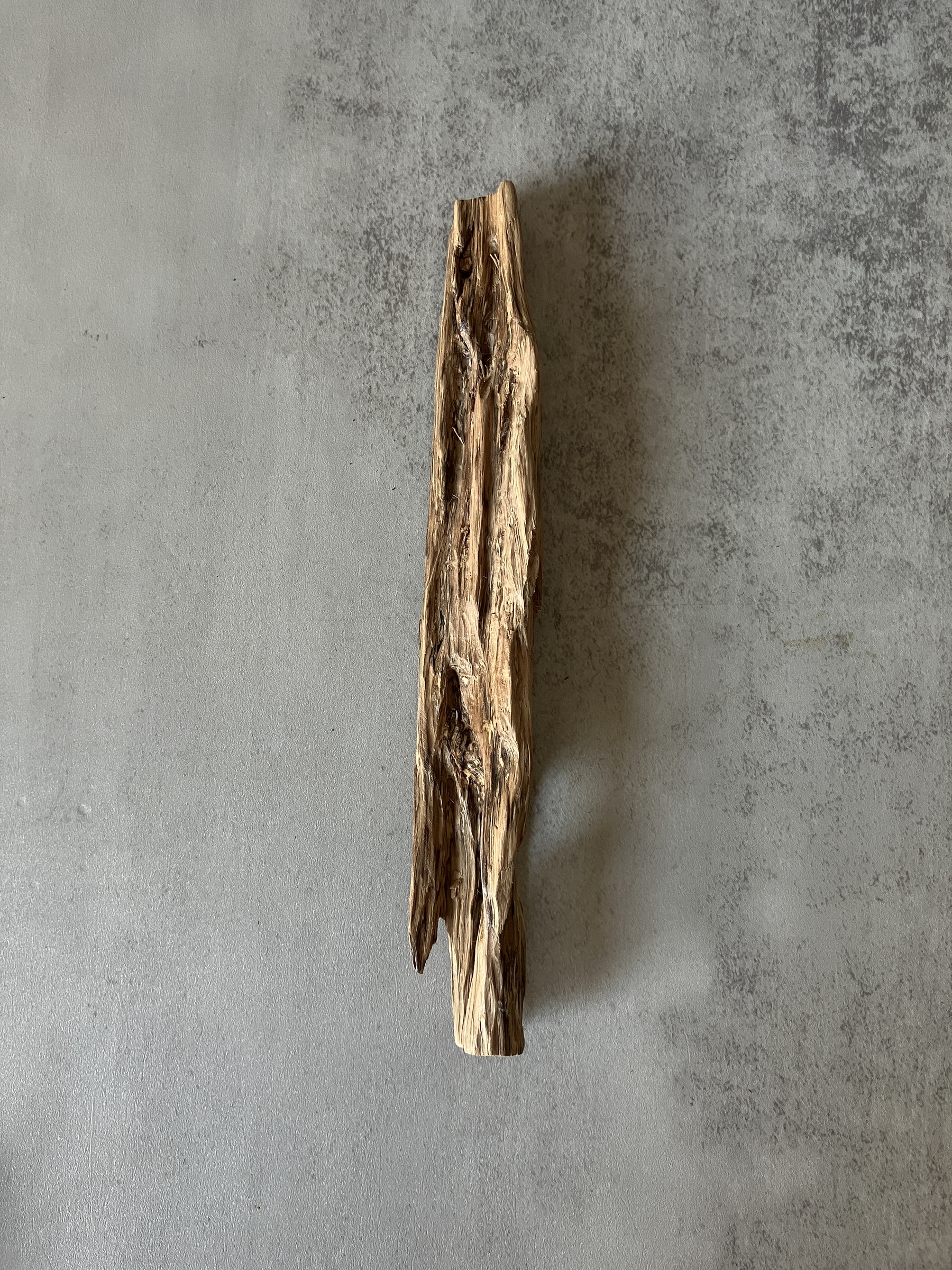 image_983E7592-F2E5-4069-901D-4E34204C3AB4_1773643830