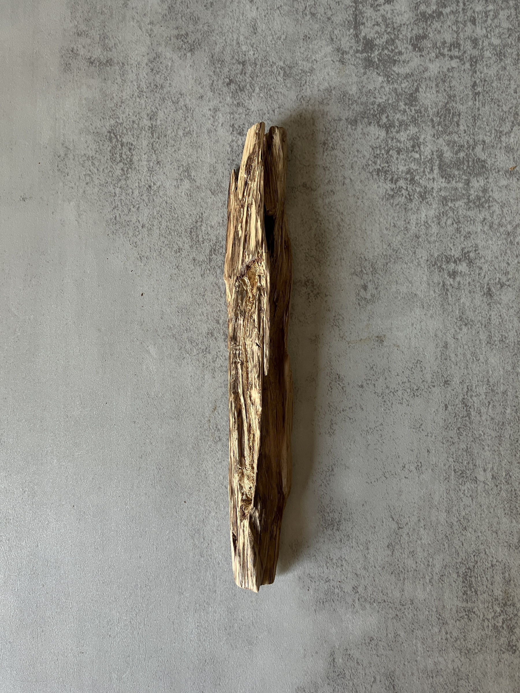 image_8ADB02C1-0BCE-450F-88B3-0D83D5A90178_1773643830