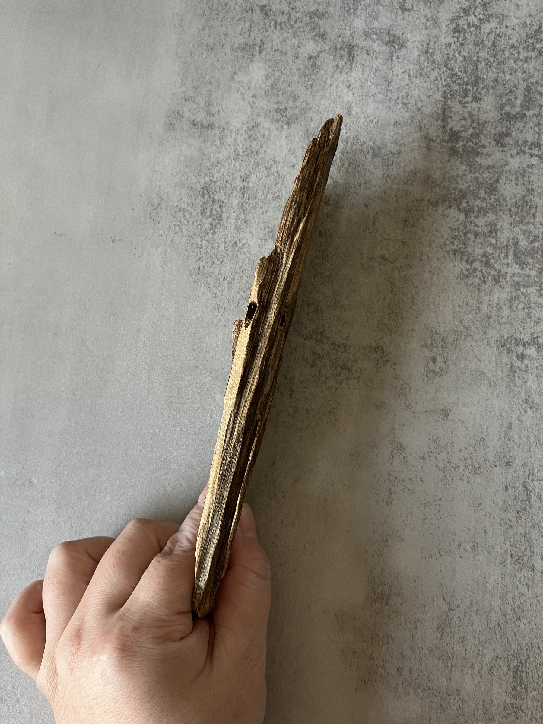 image_3ED0F6D8-6BAA-414A-83A3-B70D57919893_1773729731