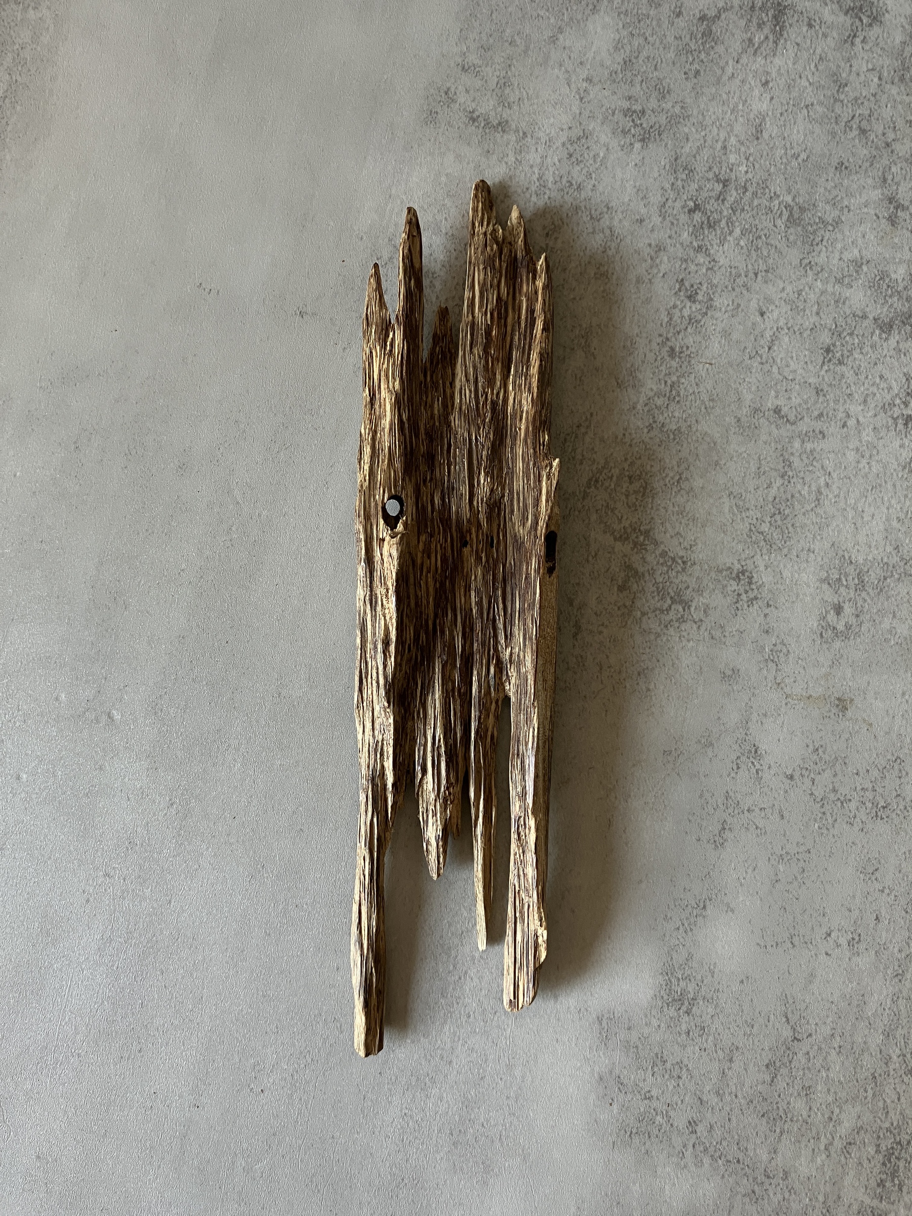 image_C6A5A22B-8093-4956-8134-73A0CB0DBE83_1773729731