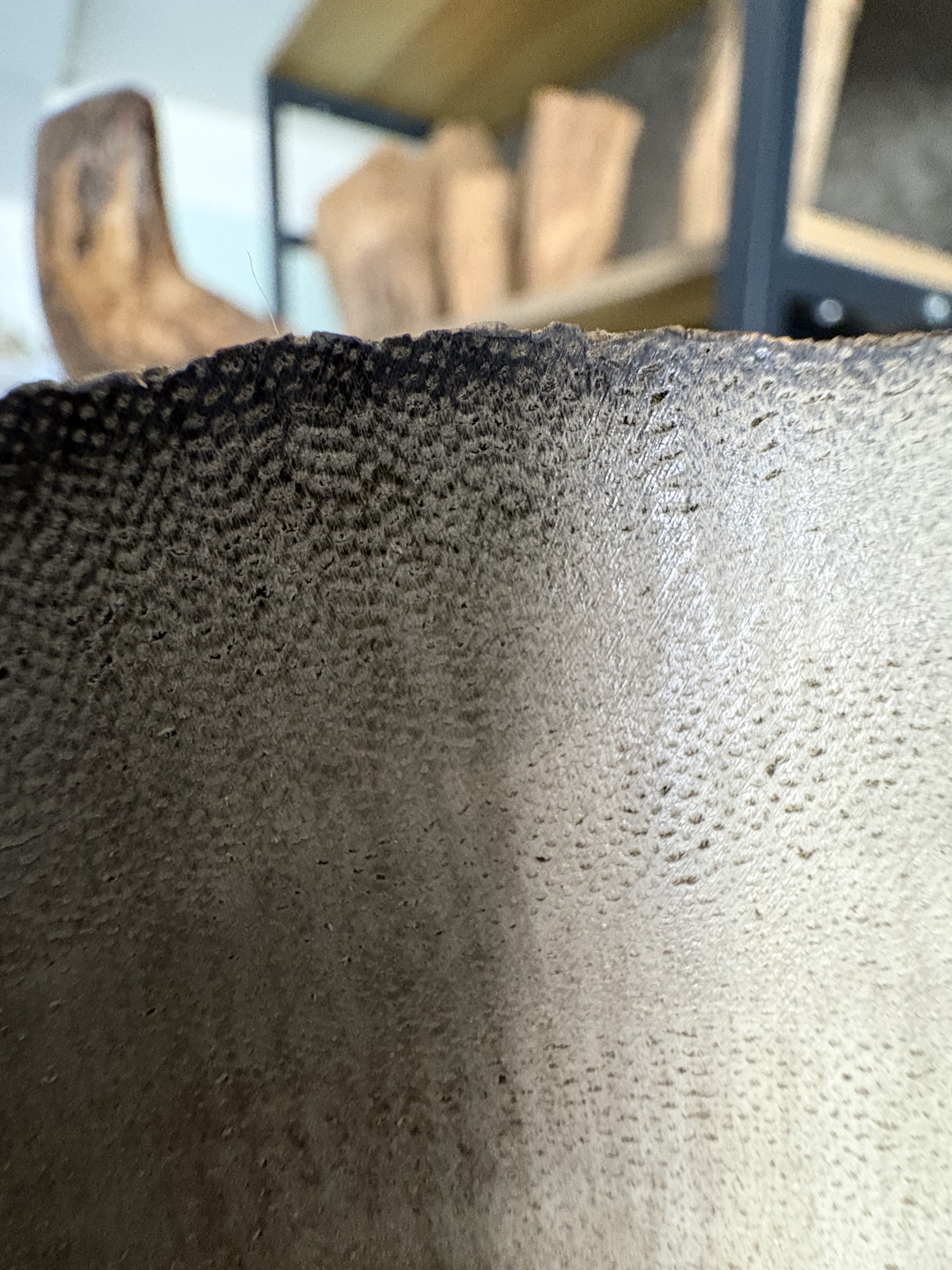 image_CAE78236-868A-45EF-BEB4-9BB27A2B023D_1773812888