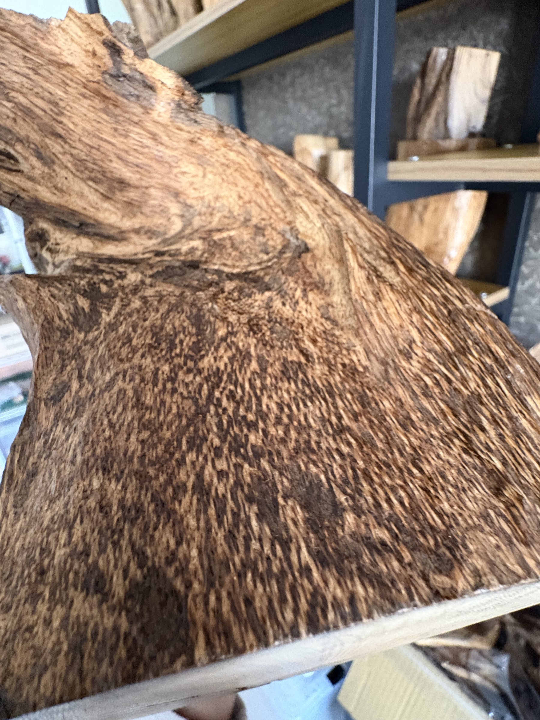 image_69BF947D-4E56-4DBA-A449-85C95437072E_1773812888