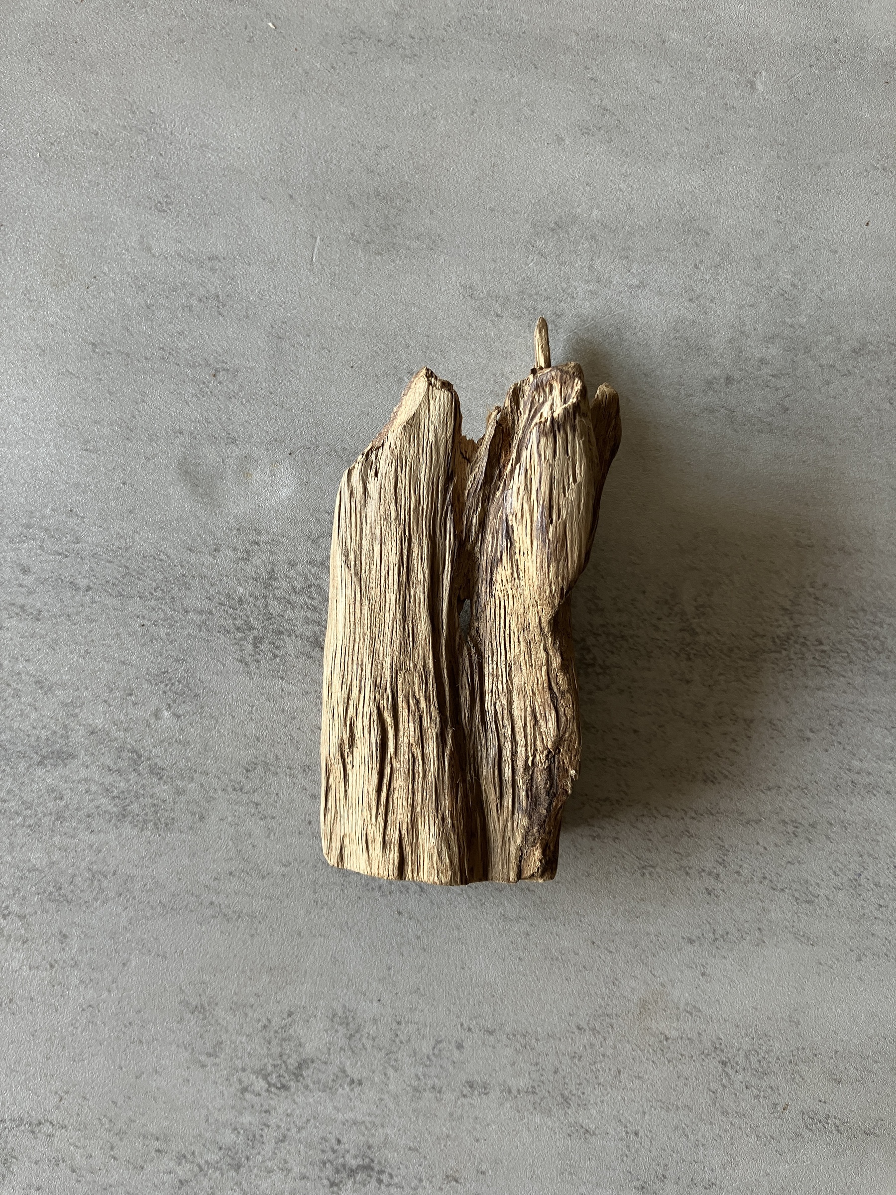 image_5BD20641-CB38-466A-8519-C6BB748199AE_1774332936