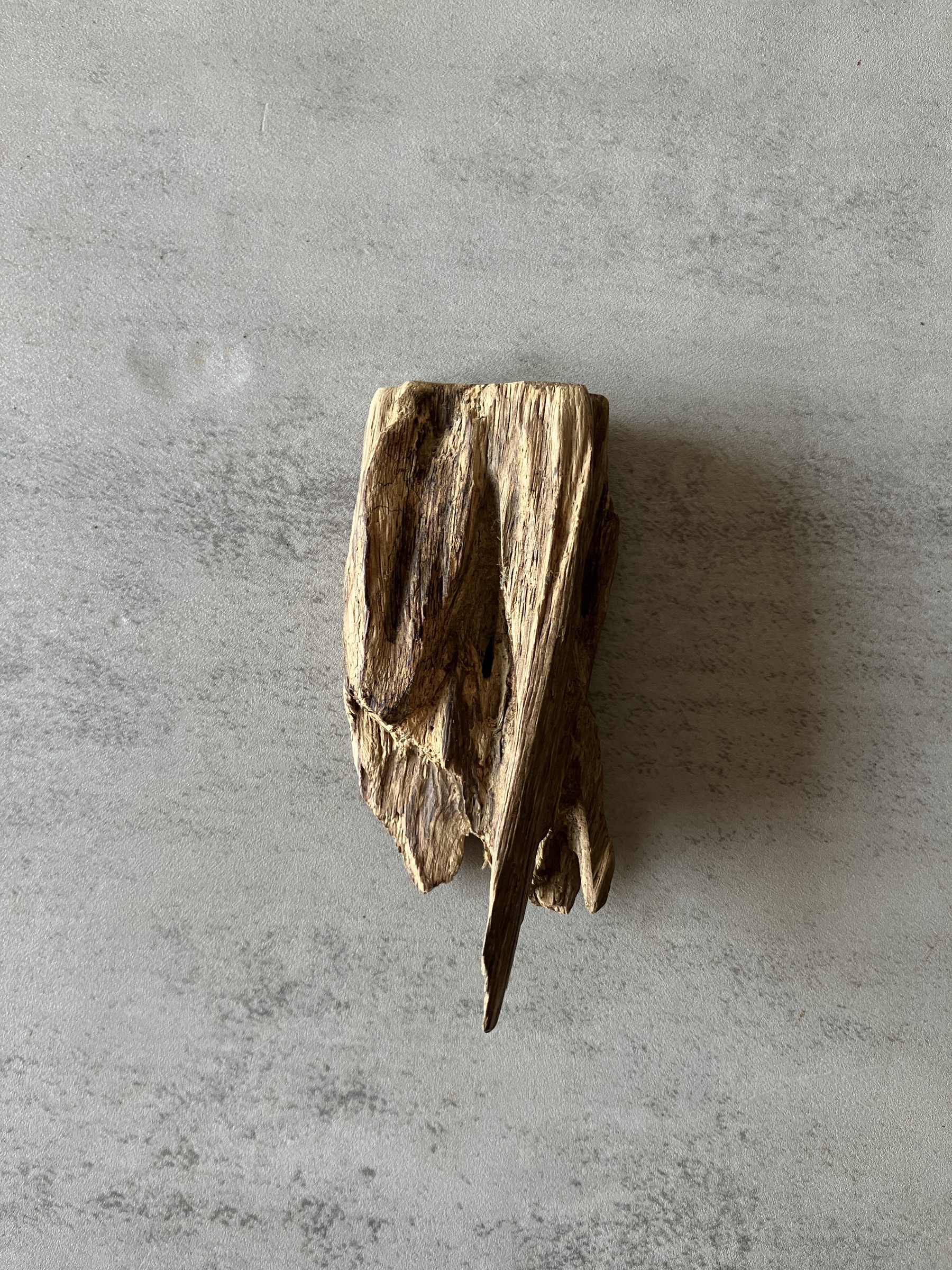 image_269873B8-FF08-4480-8732-0D14CF9DFF75_1774332936