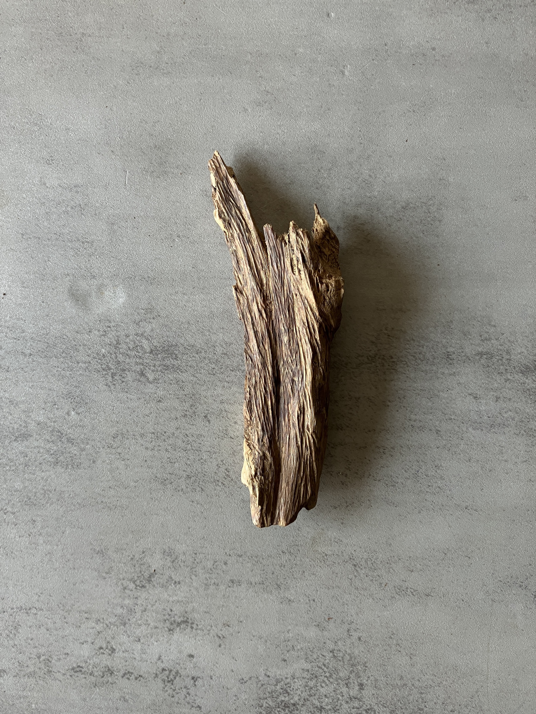 image_3E983CDE-7C83-4CB6-8AE3-B8AAE6686A37_1774333037