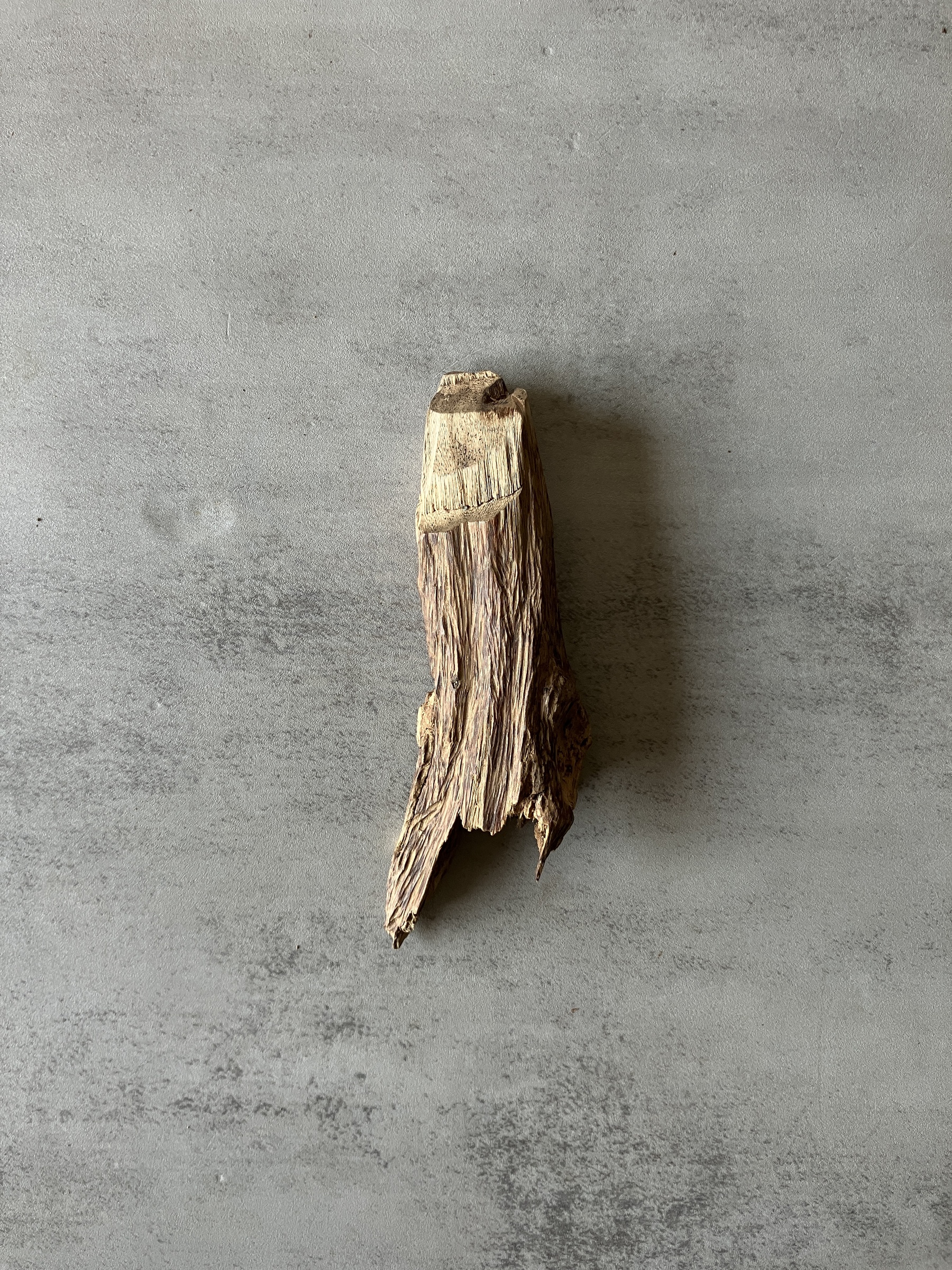 image_2475B2E6-F5D4-4E47-A47A-CFF426C6E7E5_1774333037