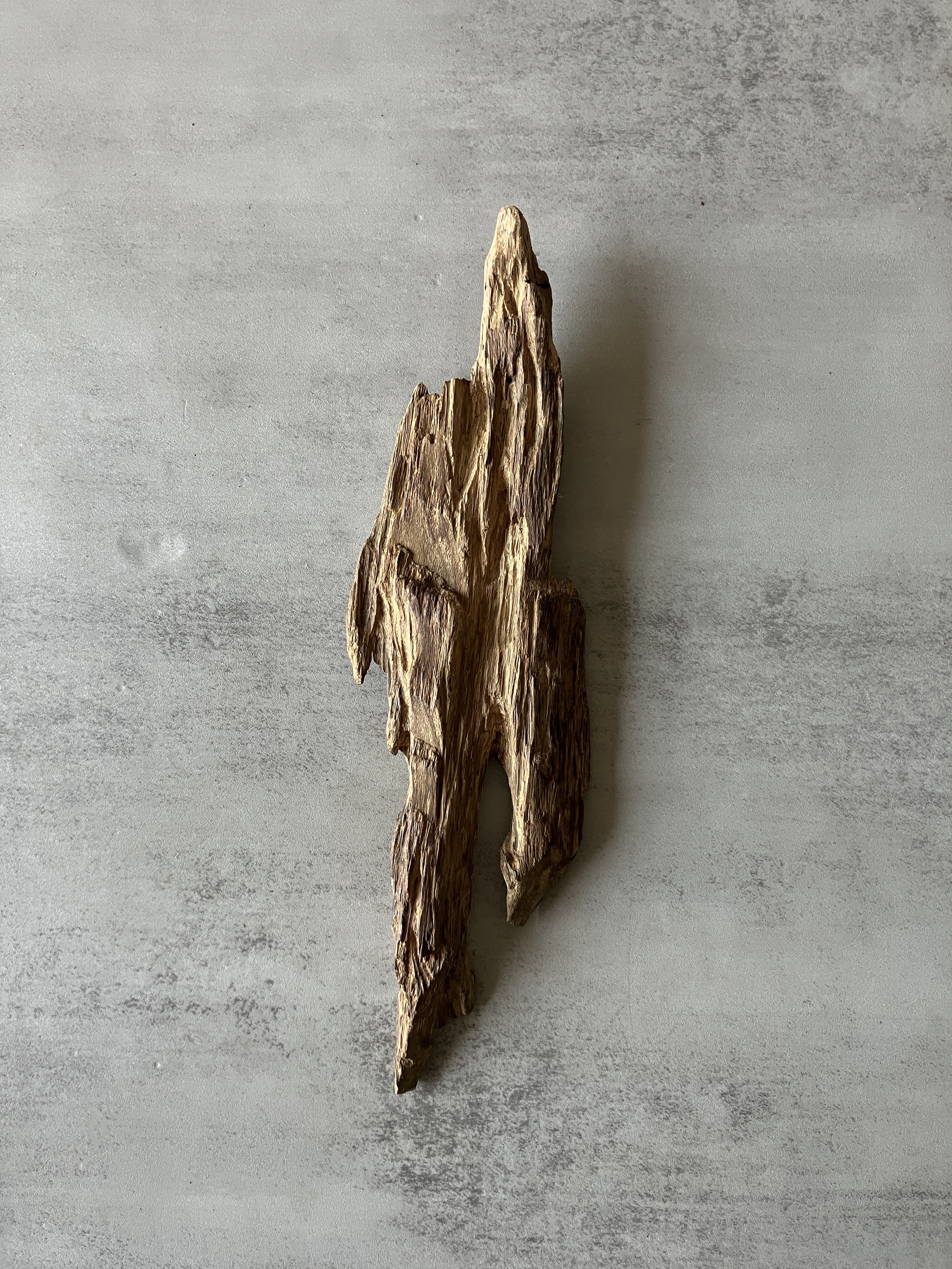 image_E8911E5C-ACE2-44A0-8DBB-611CAC940DB1_1774333133