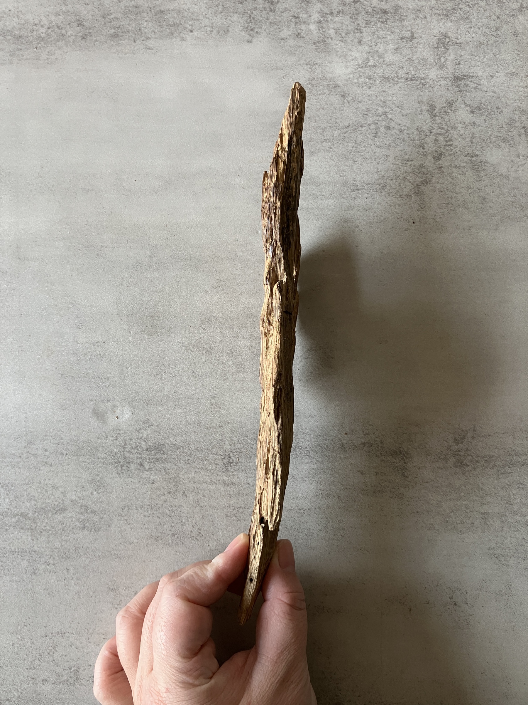 image_55AB399E-92B1-46DB-A506-1EF389783865_1774333133