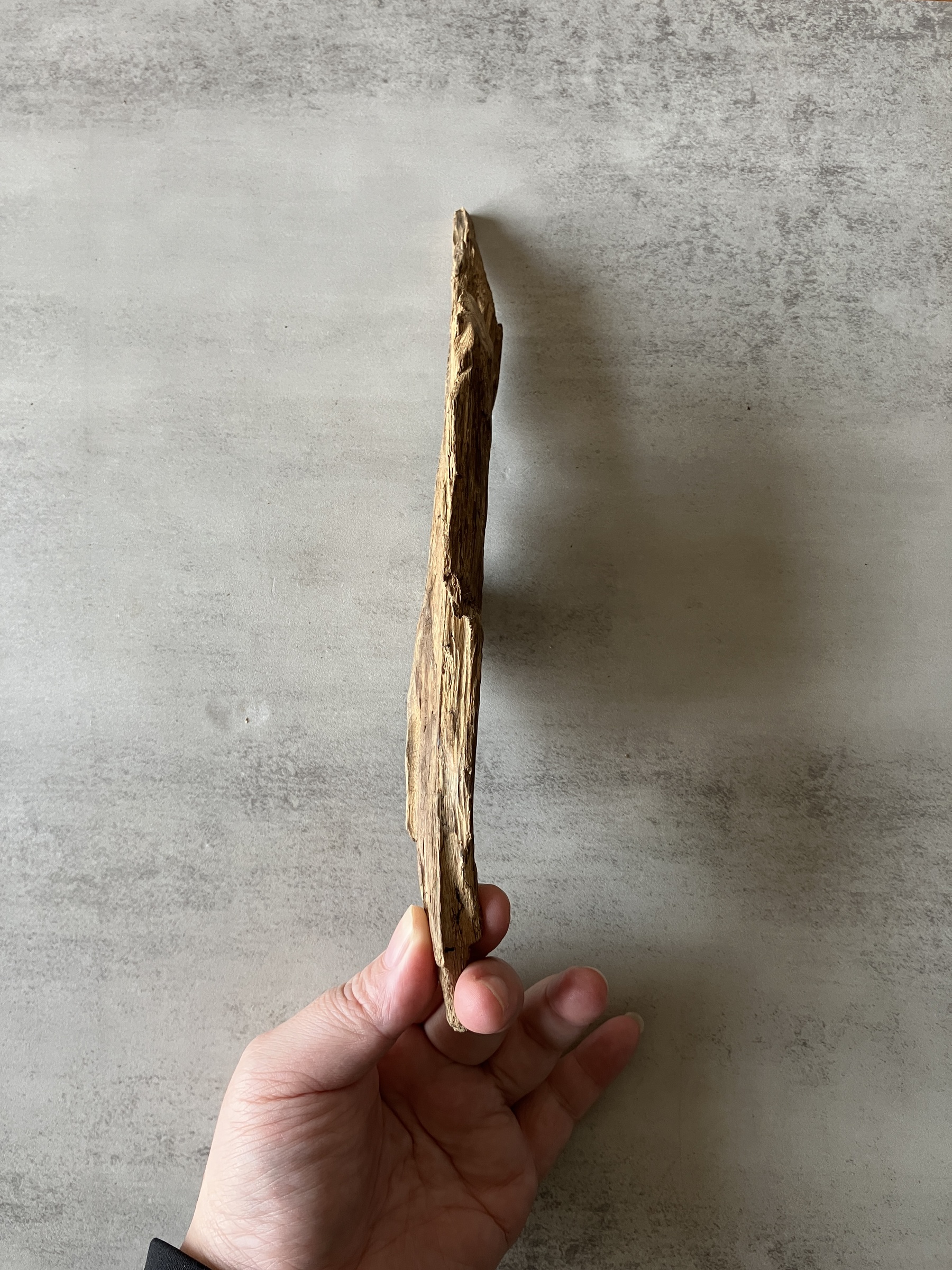 image_3458D4B1-B841-41E3-957A-6F7E124FA51E_1774333133