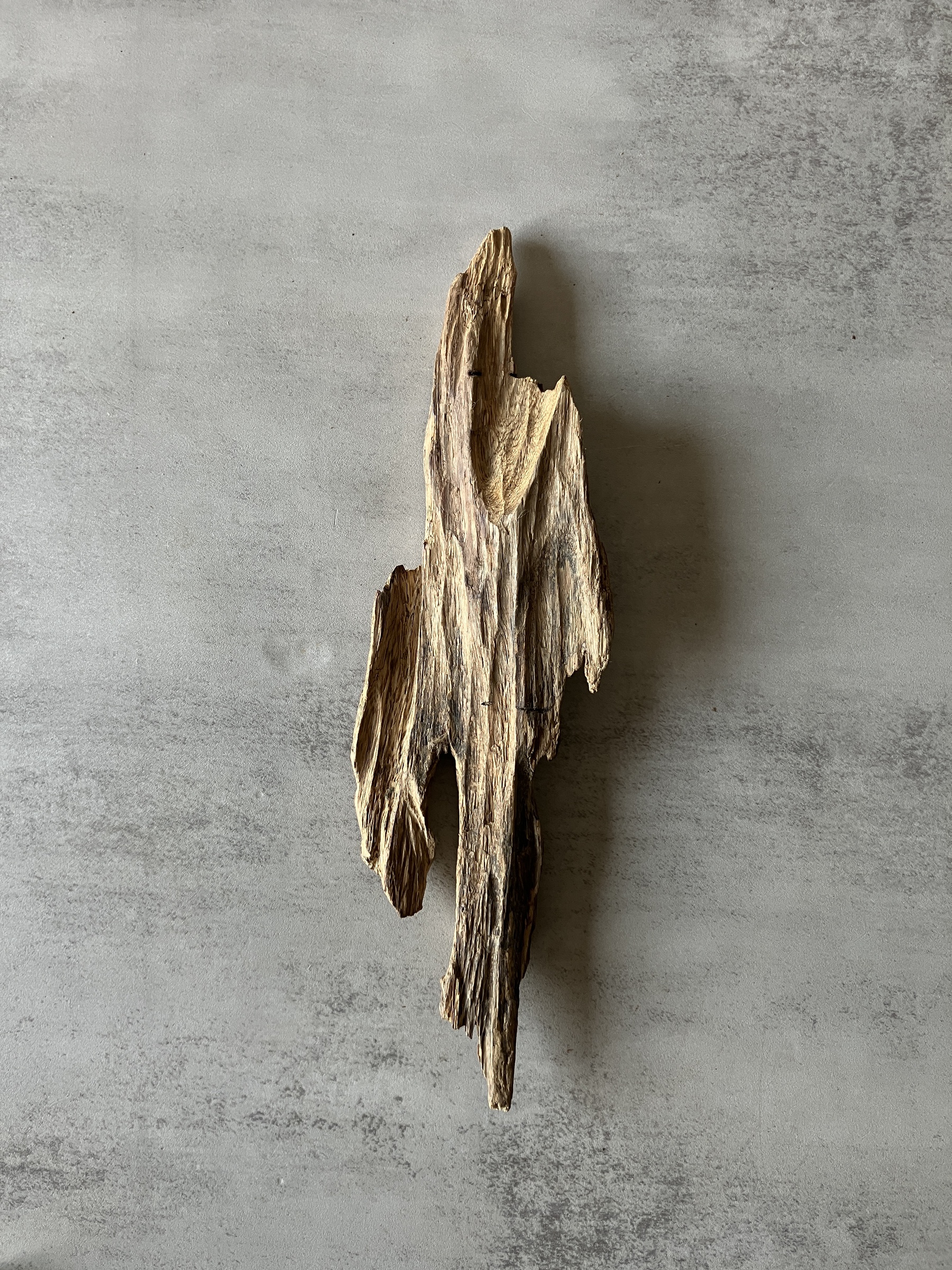 image_AA4AEB36-4E85-4EA9-A475-971860E43C38_1774333133