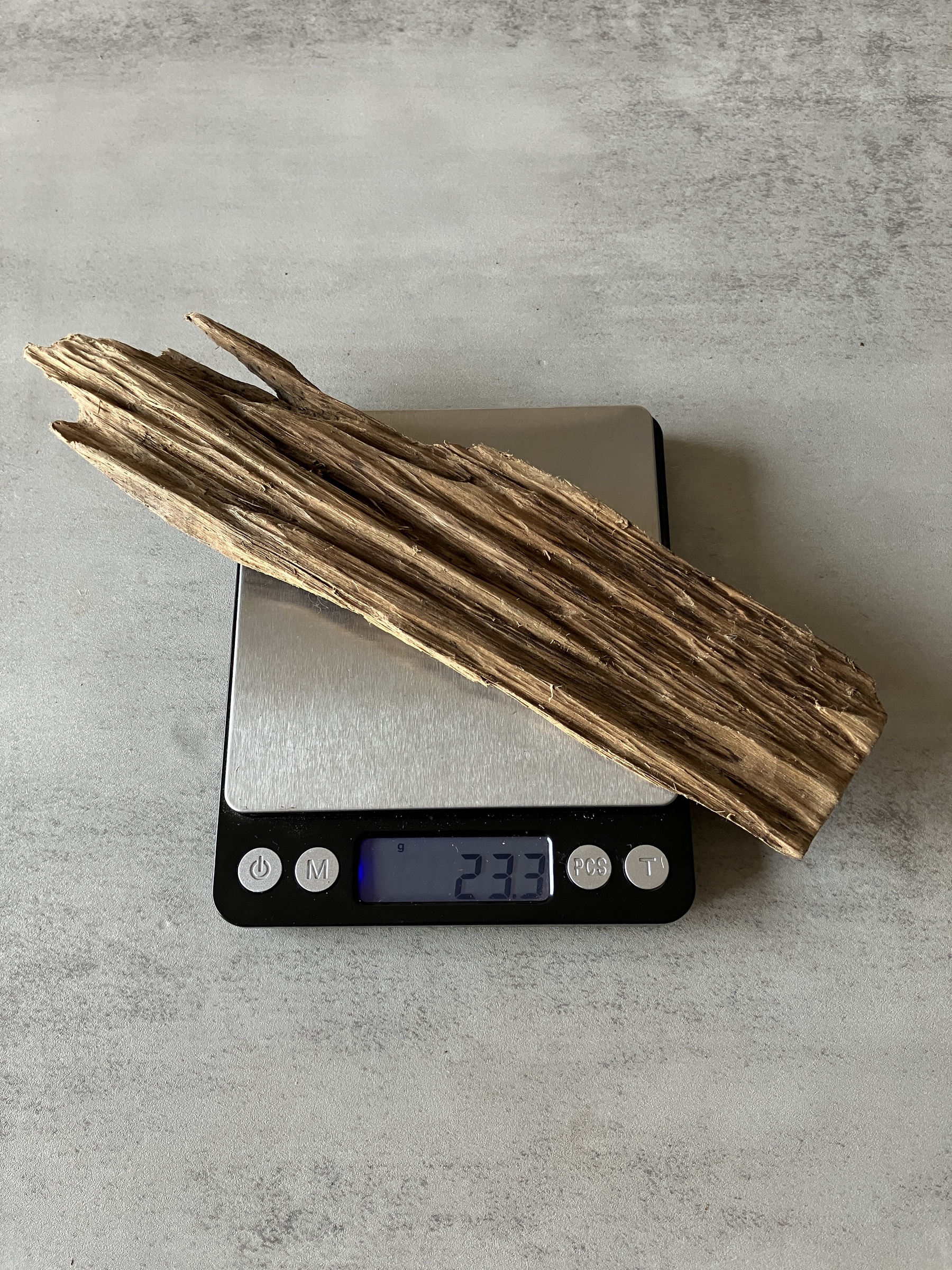 image_989E805F-327A-494C-8DD6-62DF03848EDE_1774333345