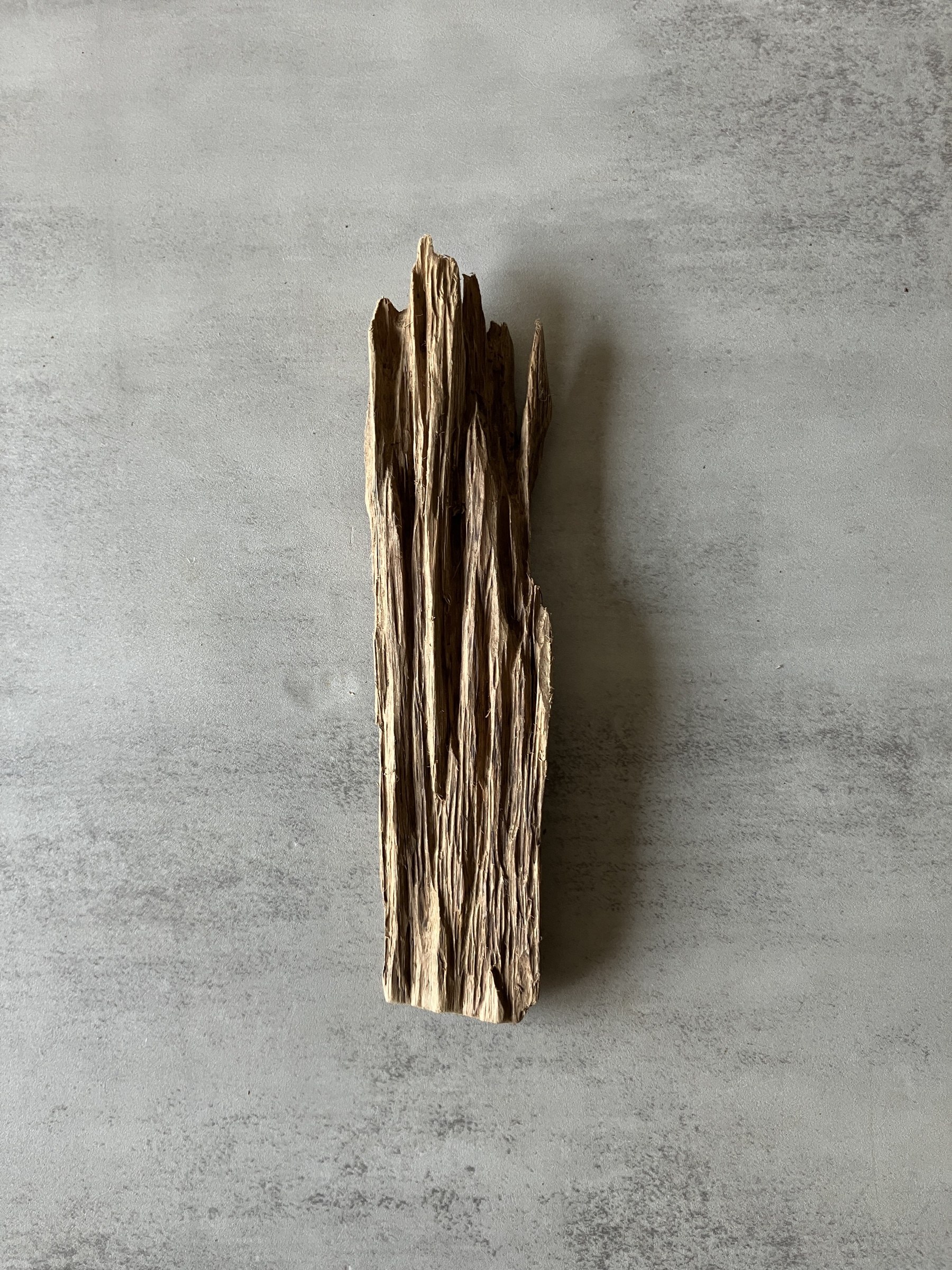 image_26C84DB2-4F56-469D-94DA-38280F1E940C_1774333345