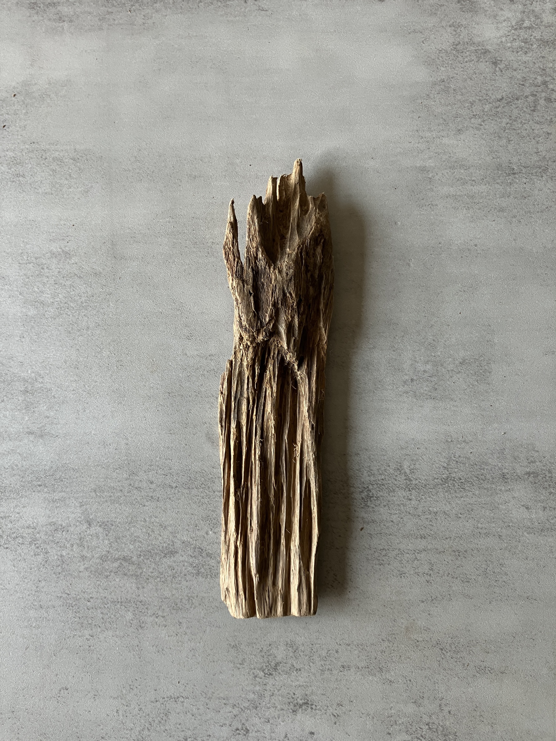 image_319A7280-8A12-4351-B0DA-36F8F00377C9_1774333345