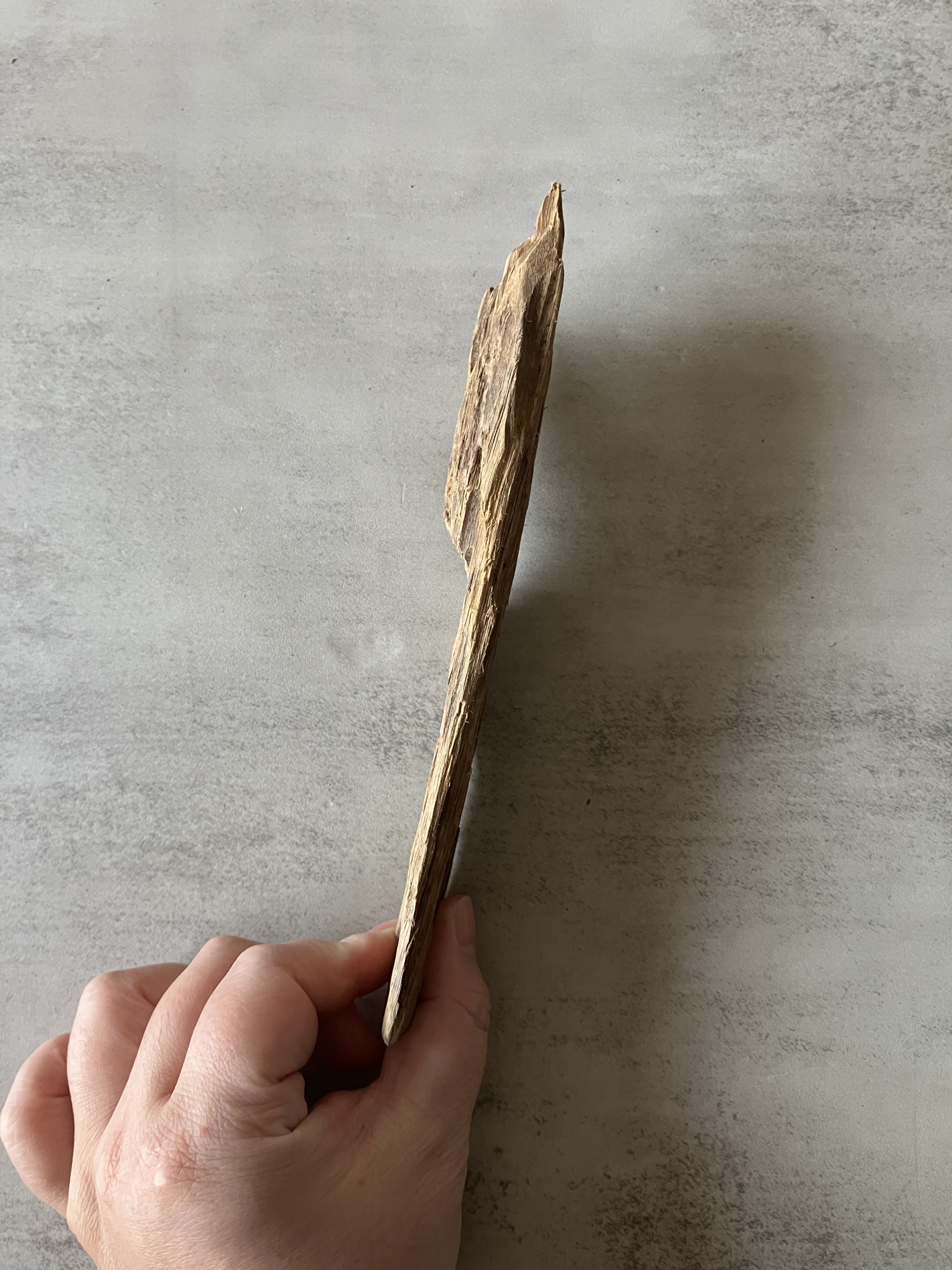 image_9D64B877-0CBB-4451-908B-B17A2BE59644_1774333345