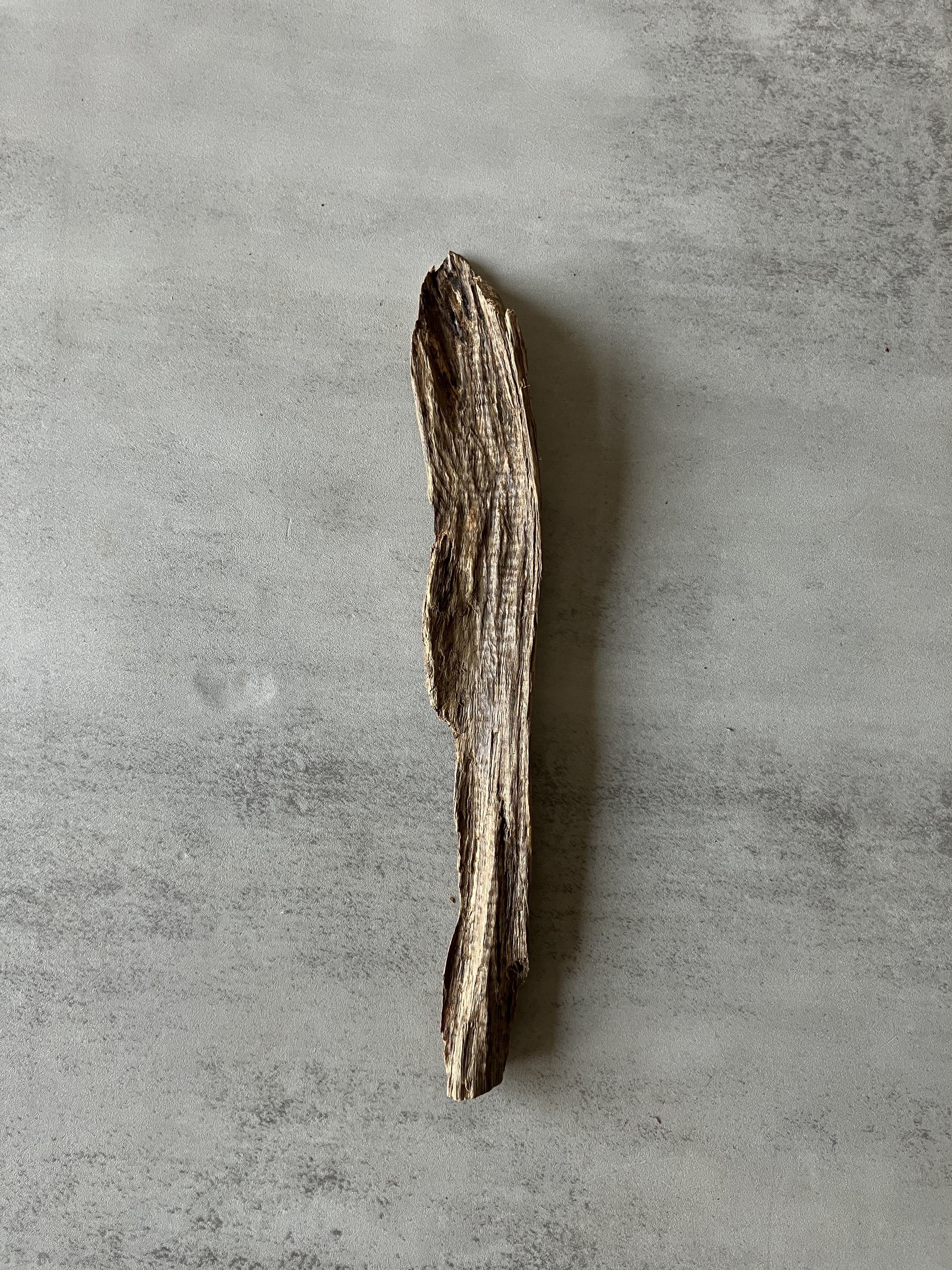 image_7AA2B4B3-FE74-4D19-9396-13AFAA95CFFC_1774333494