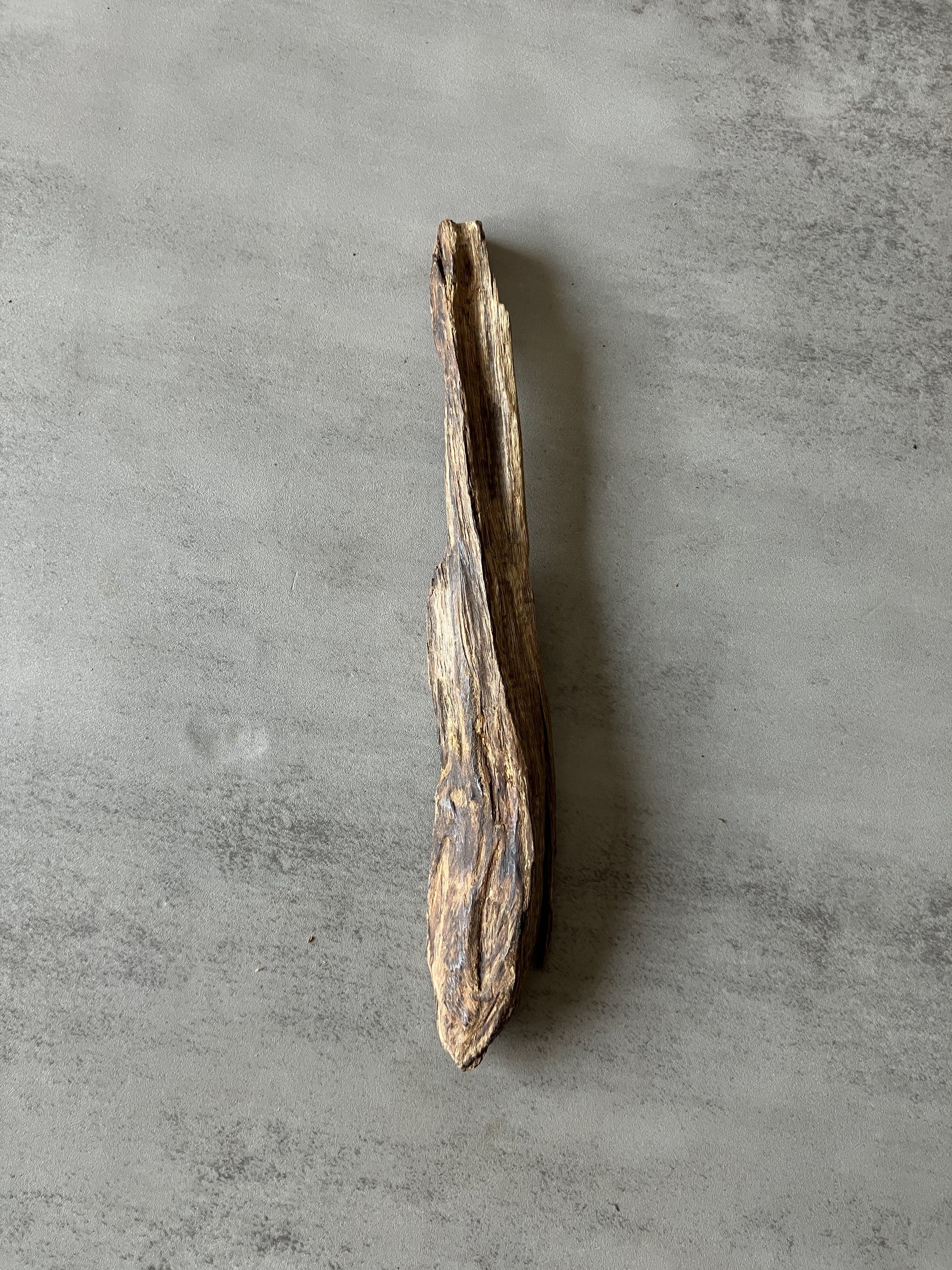 image_5FF2EF20-3AB1-4639-A4F2-DE780EC81573_1774333494