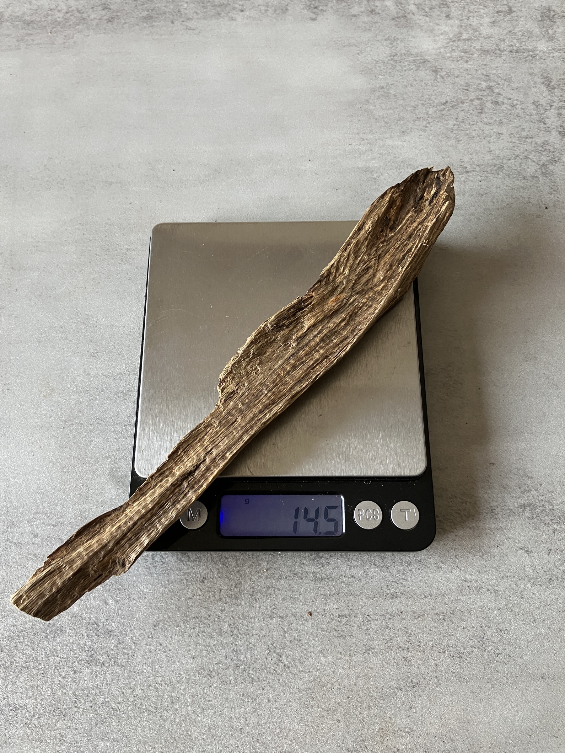 image_79C48E09-8B3F-49A3-A193-37F91D2FE3F8_1774333494