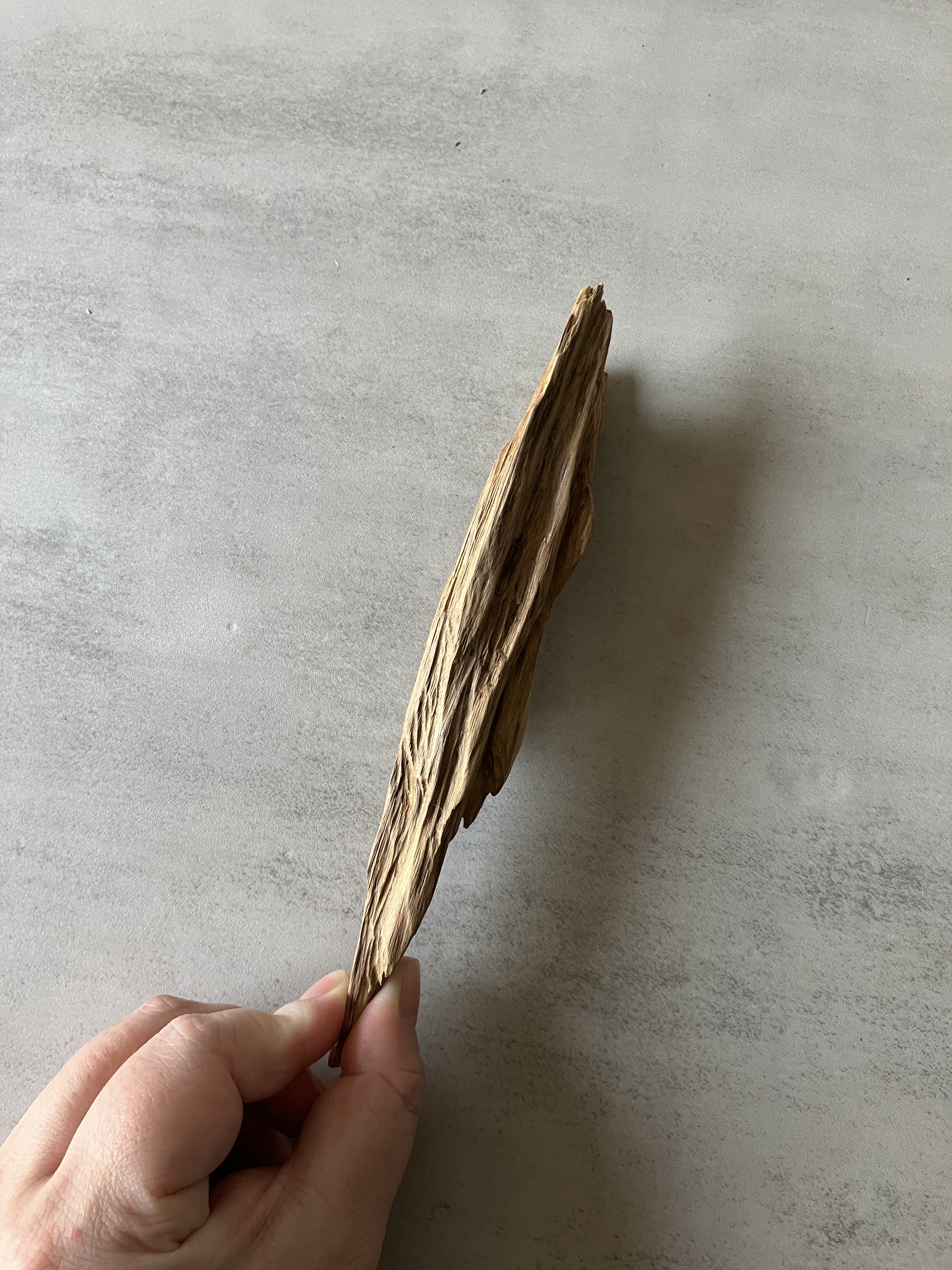 image_3D024278-614A-45D1-A232-0BA0D4317B6B_1774333669