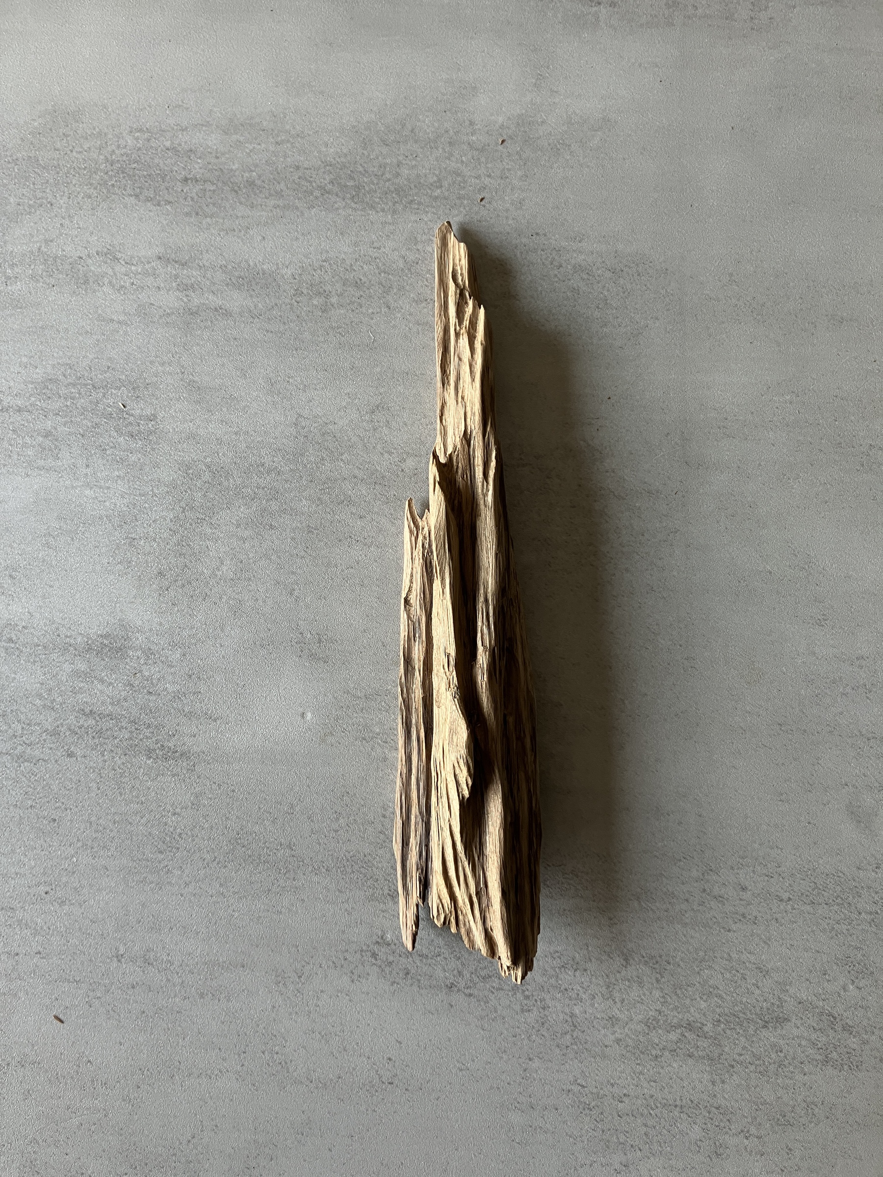 image_8544ED03-A6AA-484C-BB22-E092D770EA63_1774333669