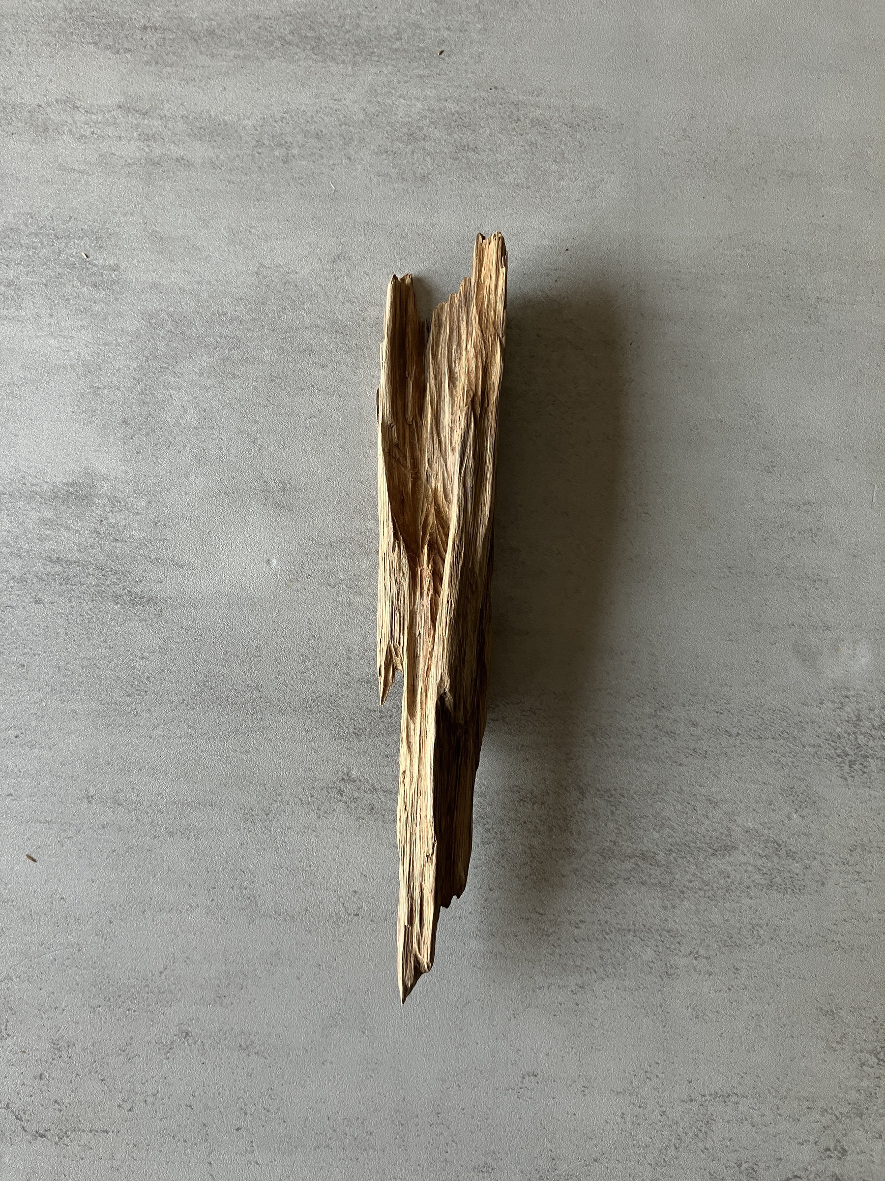 image_AB77B870-BBC7-4D6F-92F4-C43B522084D4_1774333669