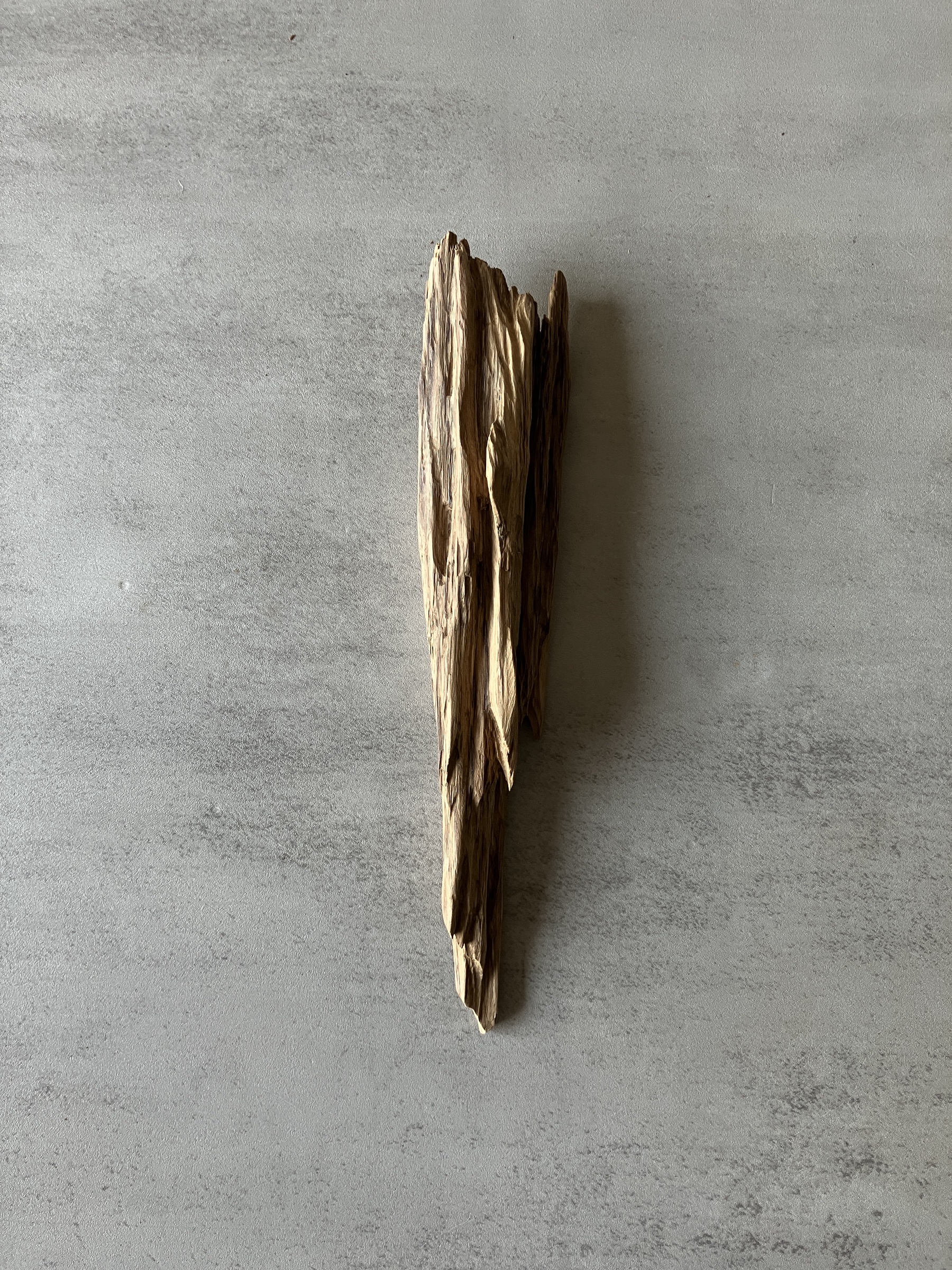 image_CAF4FF31-398A-4635-B4BC-83A8E57F09AF_1774333669