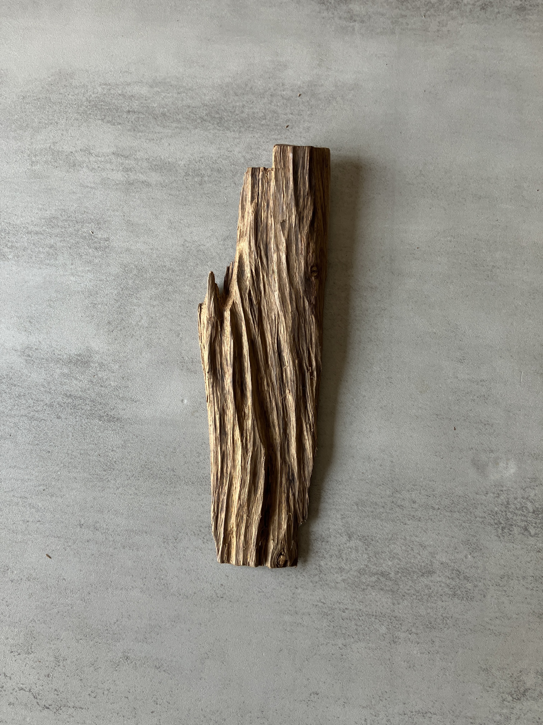 image_911A6D5B-3C1B-4940-82E2-102AA4D51A79_1774333912