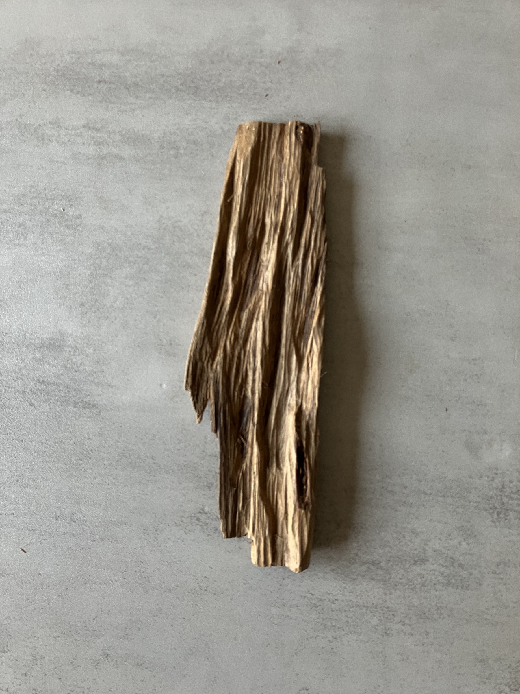 image_B9E51F7A-AEF3-4386-B108-FC07FABD2D9D_1774333912