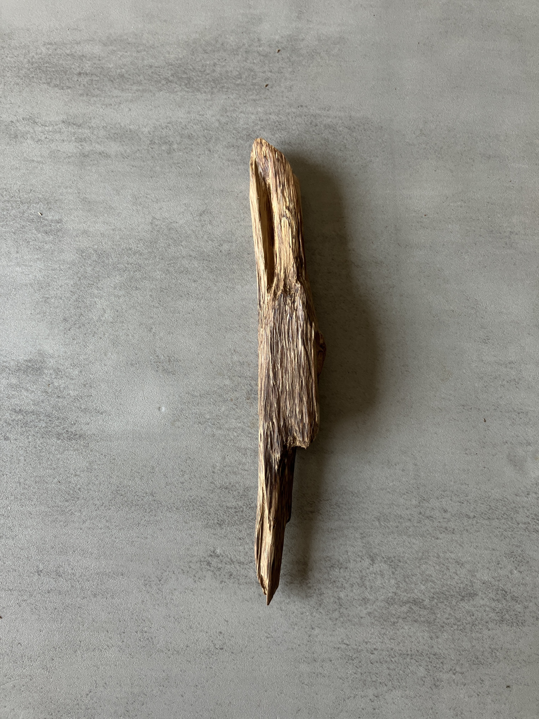 image_D9E64DB5-C4C0-4A46-AD94-05DEFAC2C4A0_1774333998