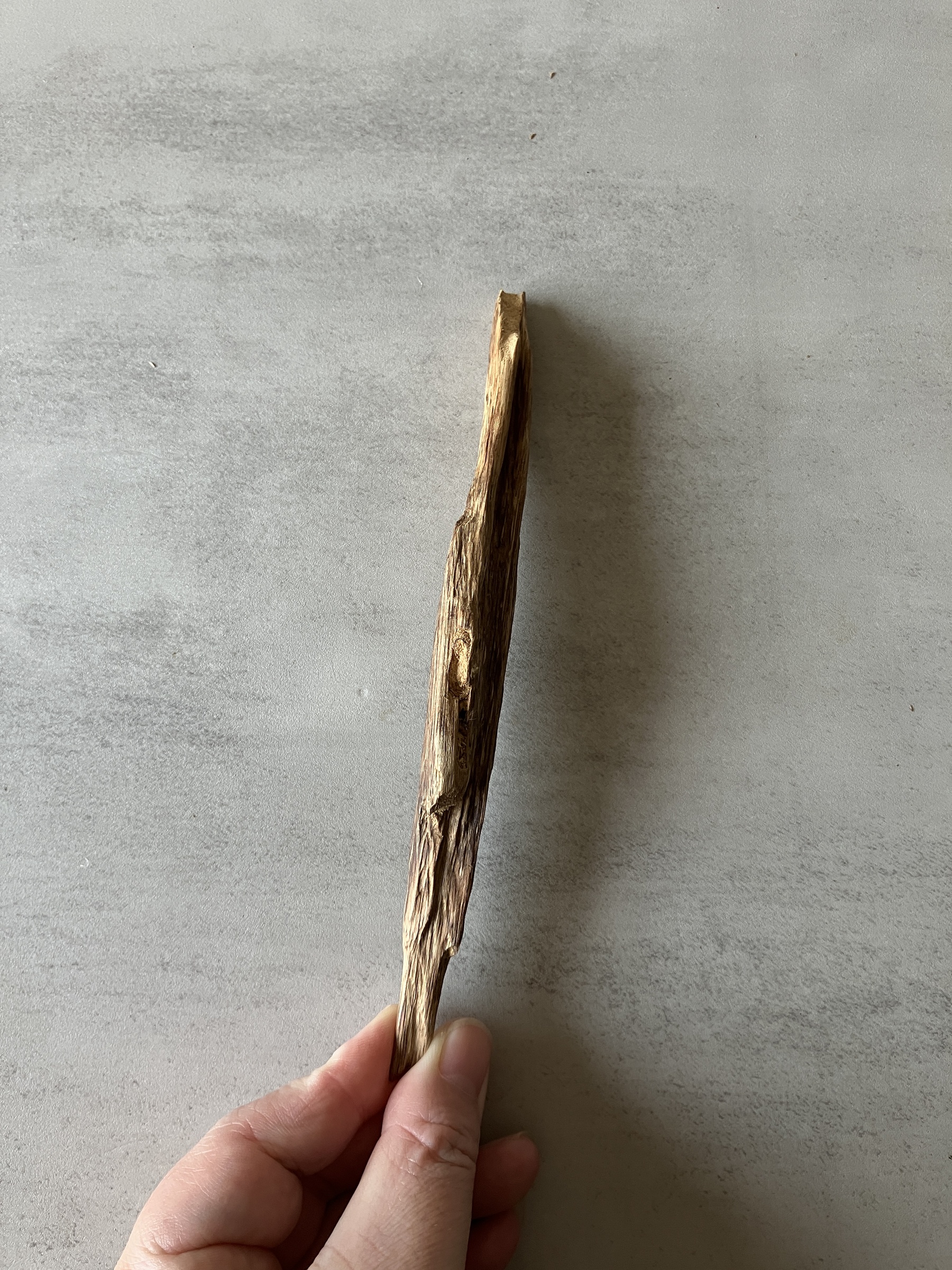 image_F3EAE5FD-0CFA-43FE-957B-1F404B067738_1774333998