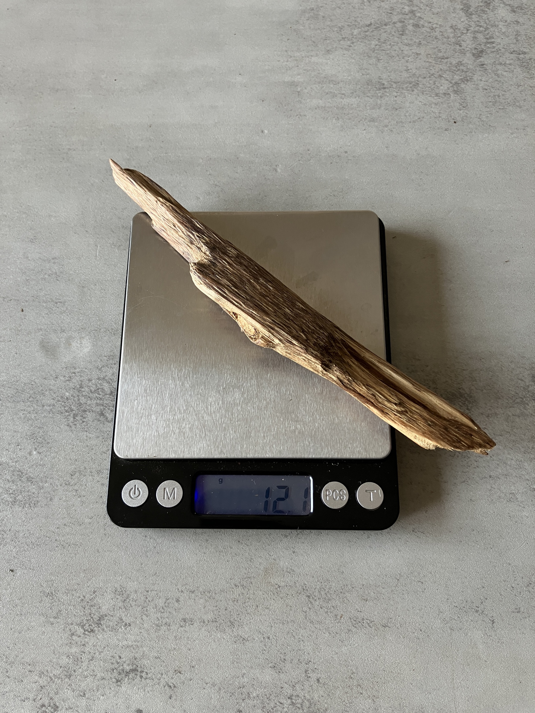 image_45652CF6-C6A4-4C4C-8D82-C76ABA7B4E0D_1774333998