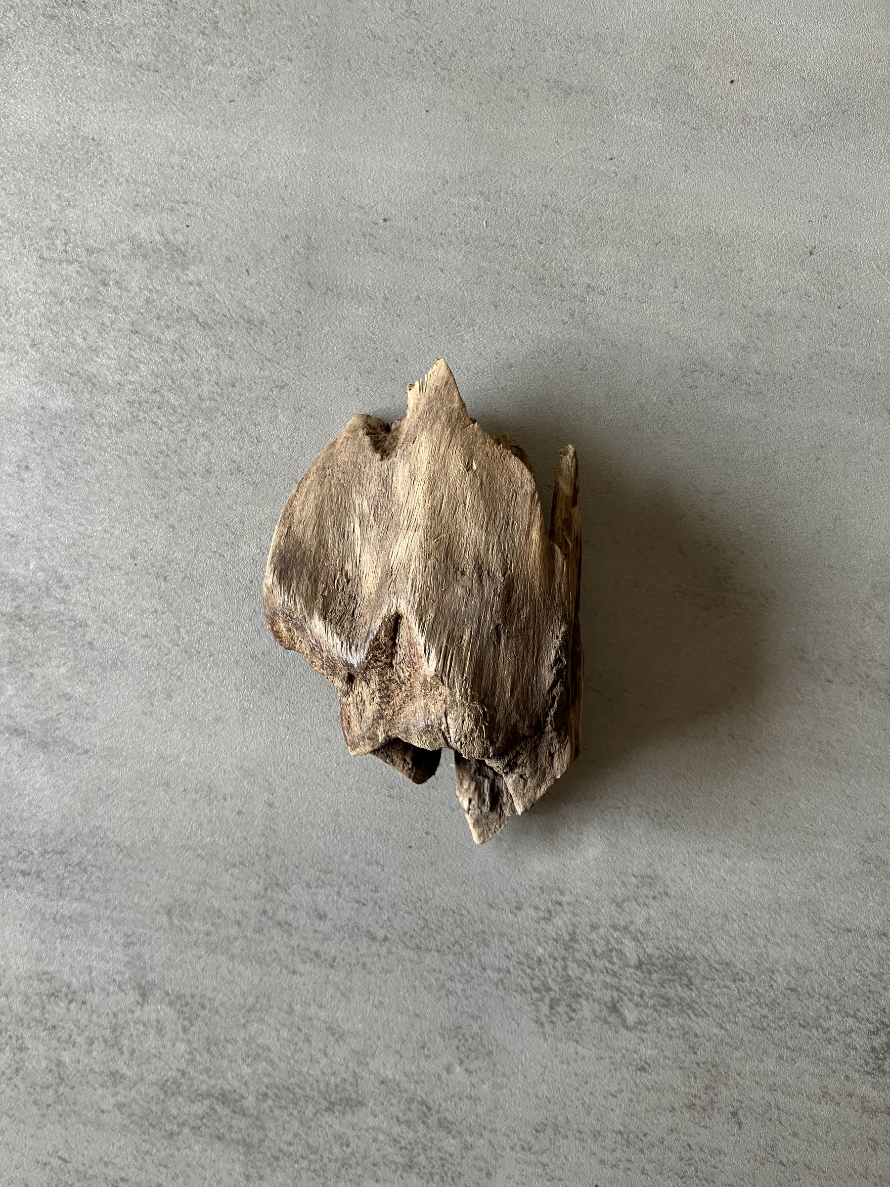 image_B446D62F-5FE1-40C1-9111-98AE6002409C_1774334113