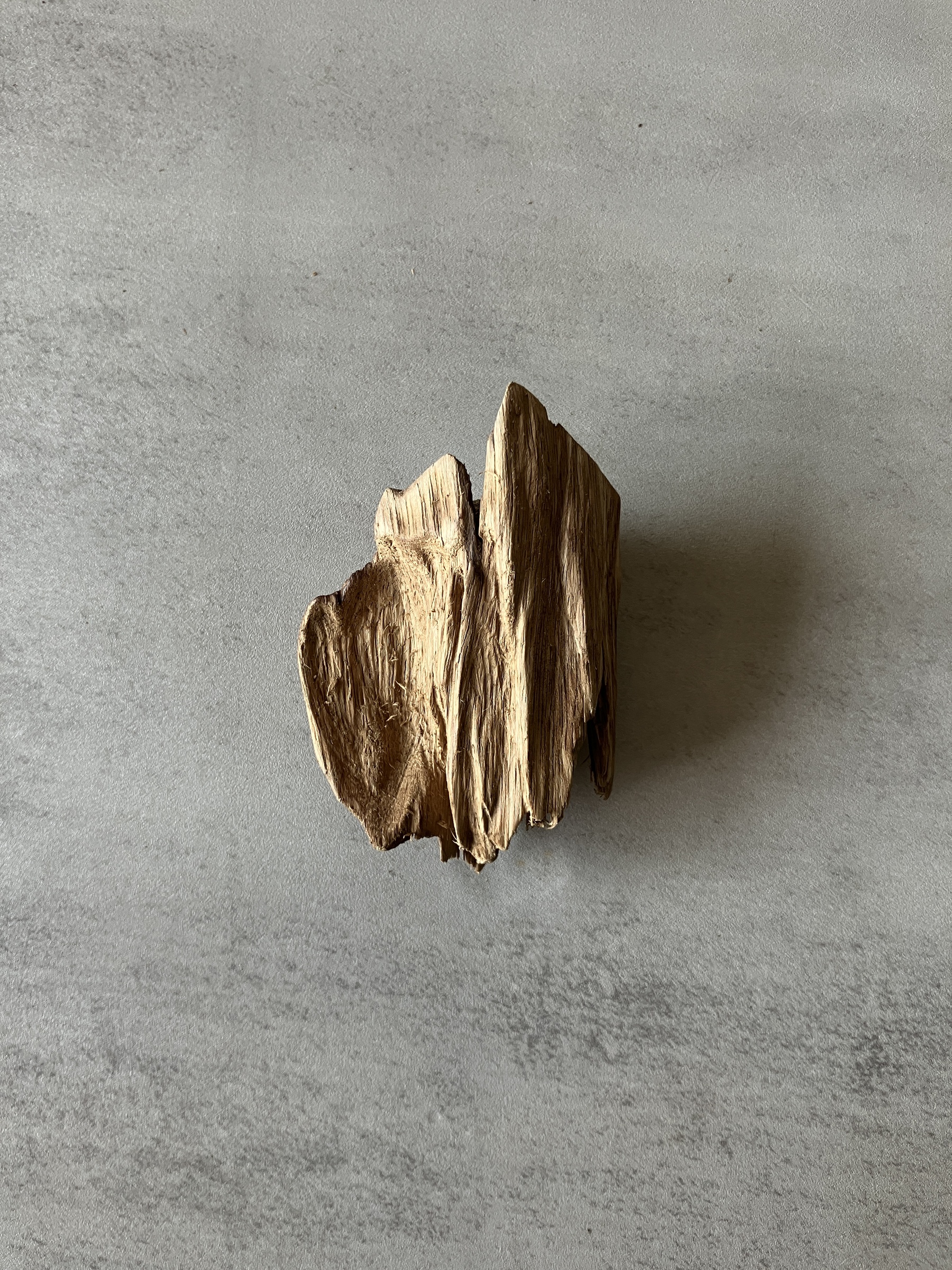 image_6E5A5613-7842-427A-9201-1A696166F0FE_1774334113