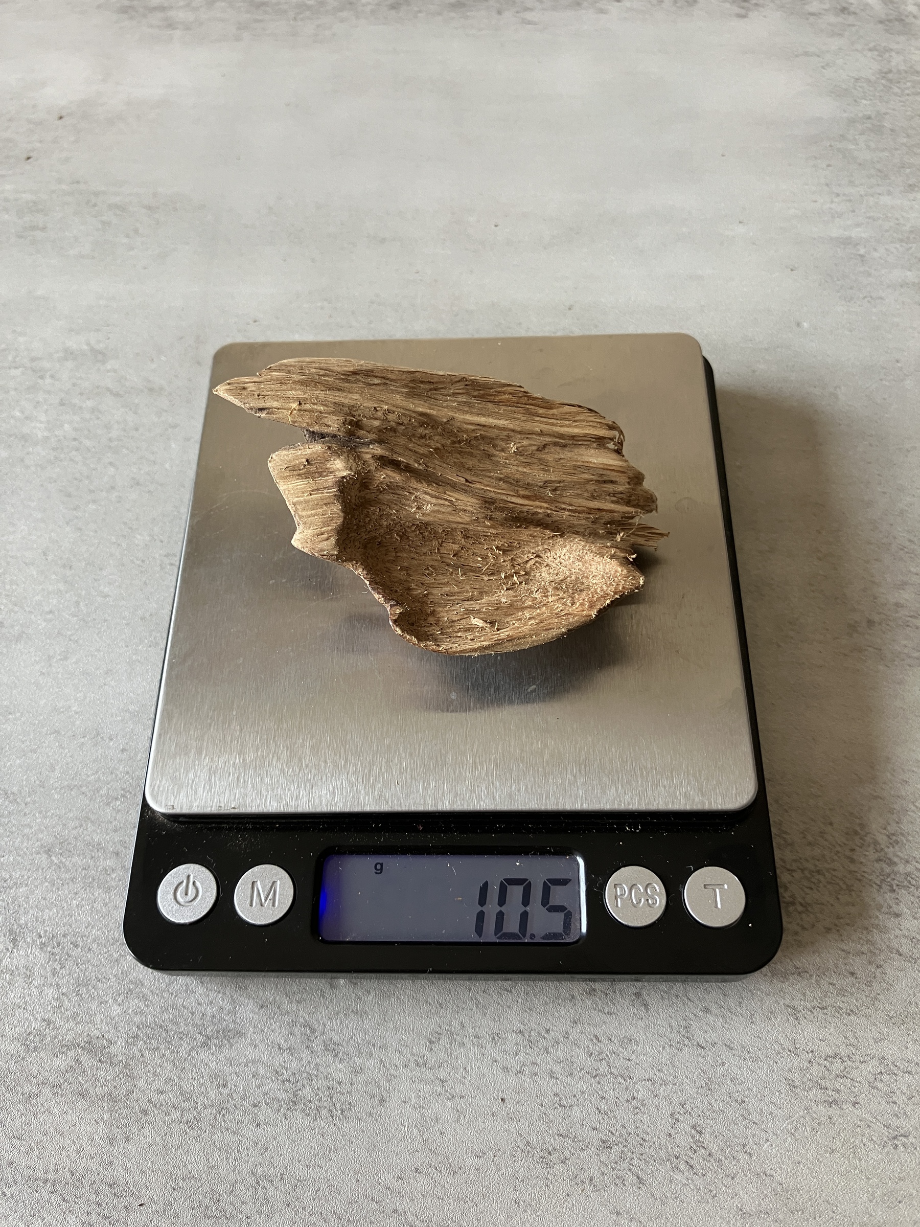 image_C1C34B8B-A1B0-40FD-96E1-E7545CE4DEDC_1774334113