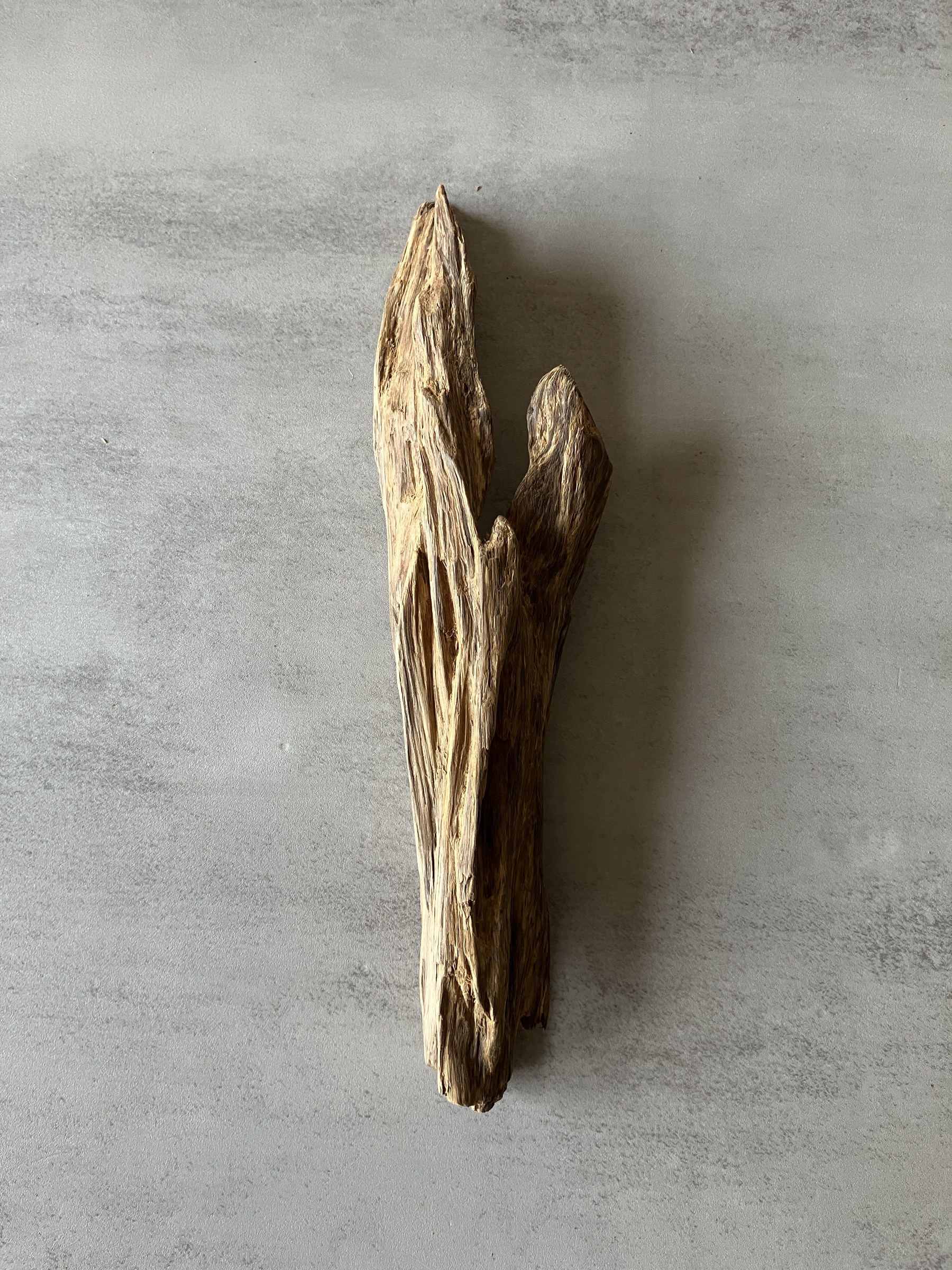 image_7CFFC7C9-7B2F-482B-8075-AFADAA1DF2C7_1774334209