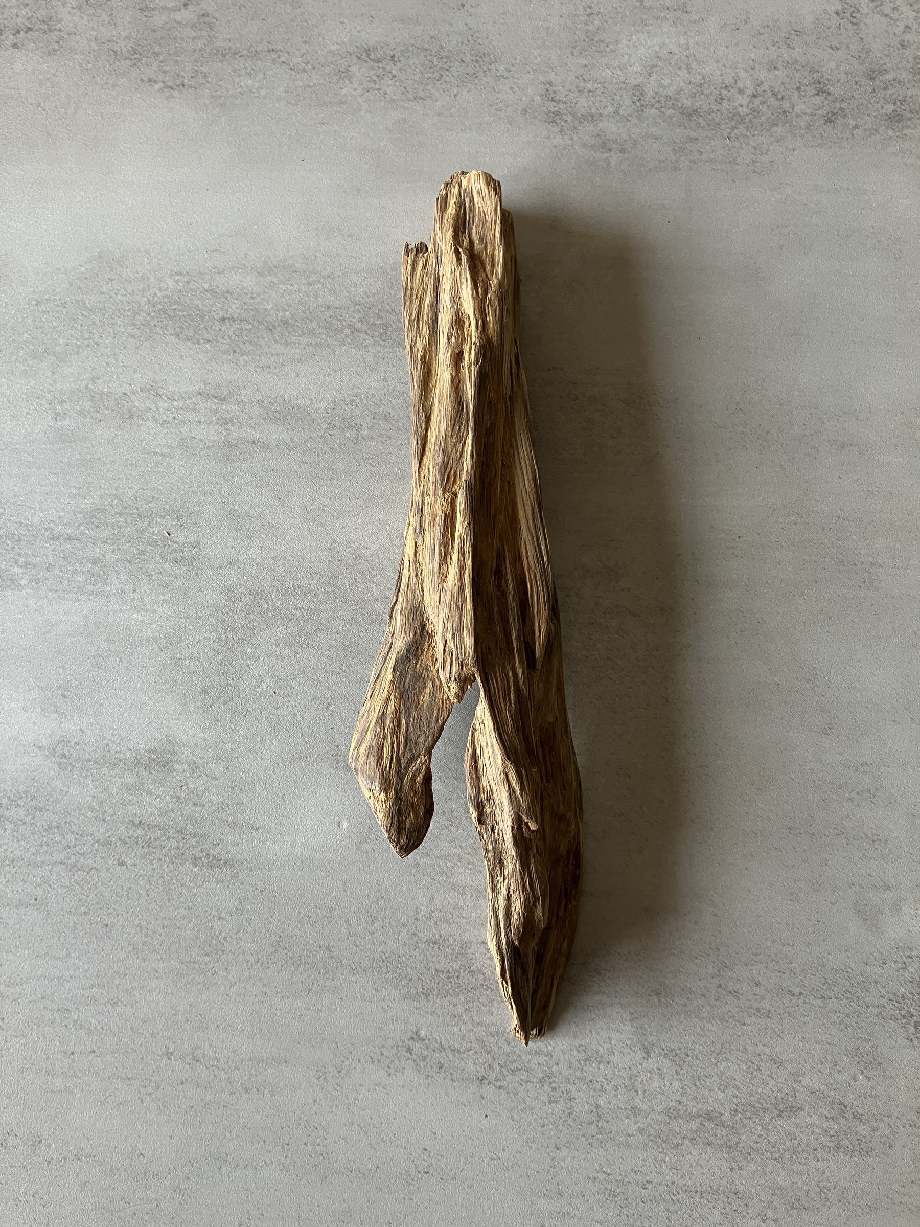 image_B112B3B6-36F5-4563-9C07-4A12FD363633_1774334209