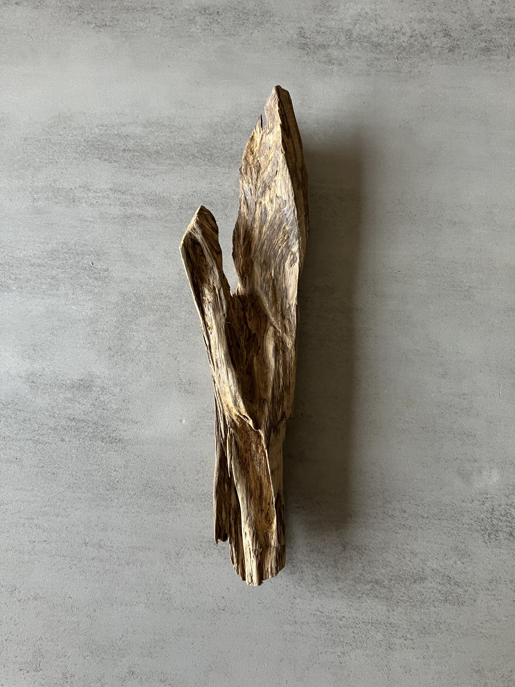 image_E7AEF716-07E1-454D-AF78-8BC6340FB900_1774334209