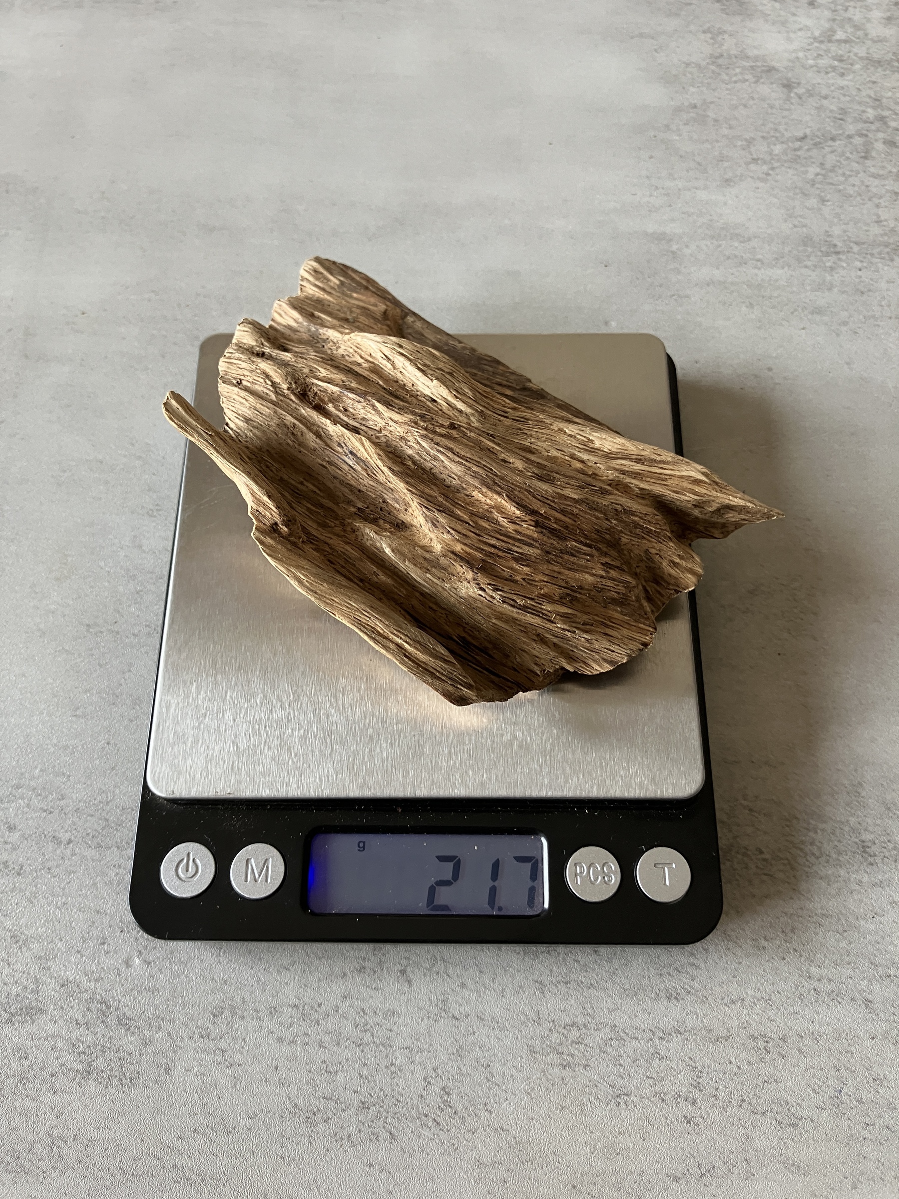 image_B62F82CB-52FD-418D-A1E5-66B1D8D8C5E4_1774334323