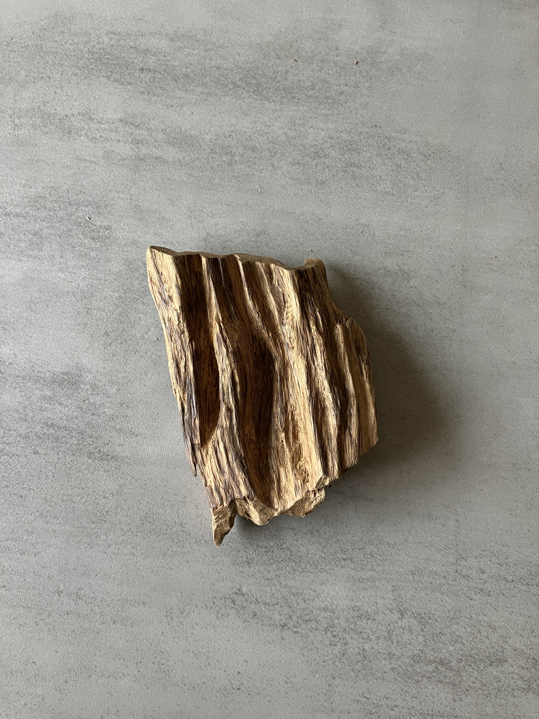 image_BA23FC59-8146-456D-ACB3-7D9D2C38E411_1774334323